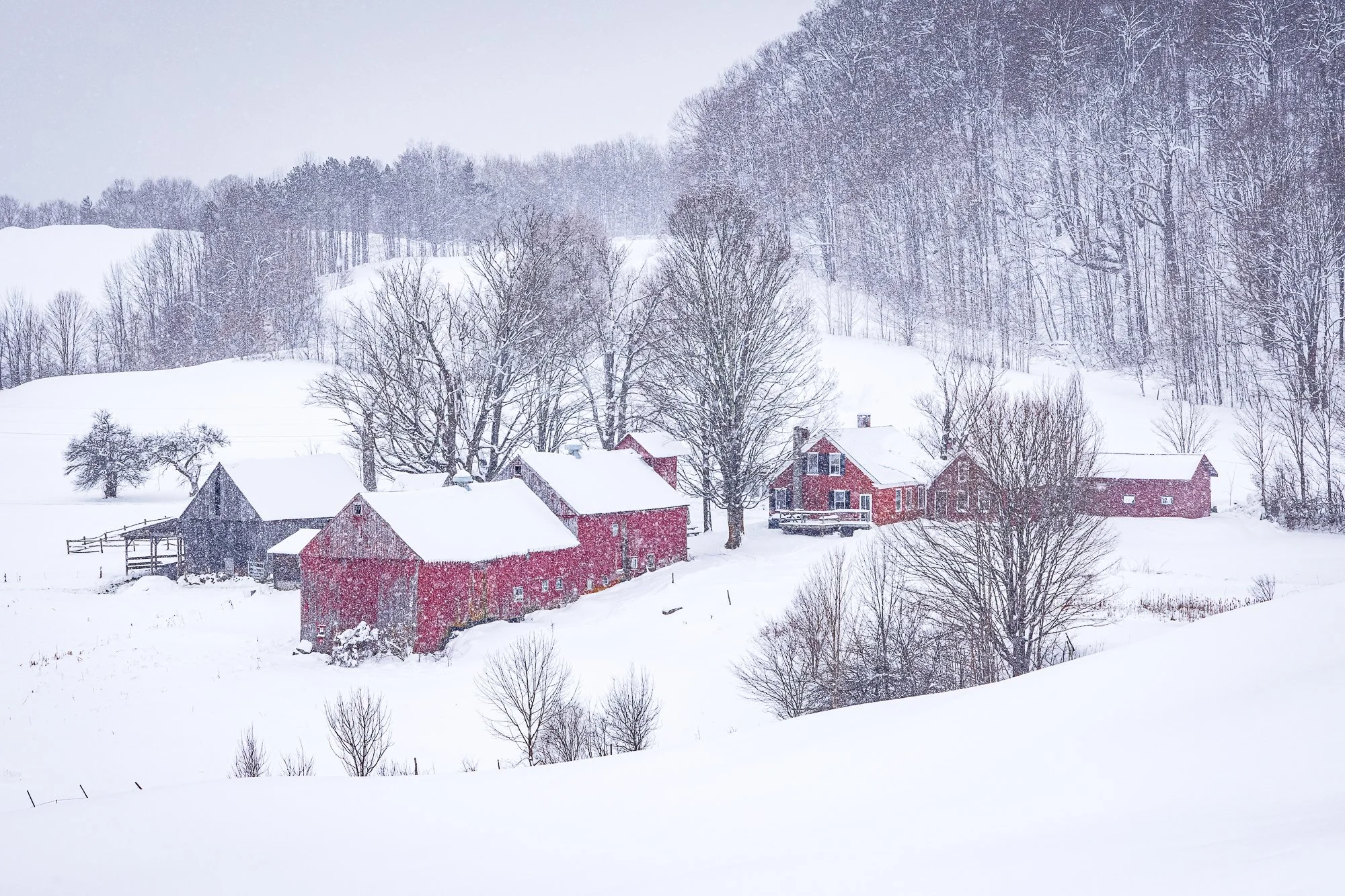 Jenne Farm Winter
