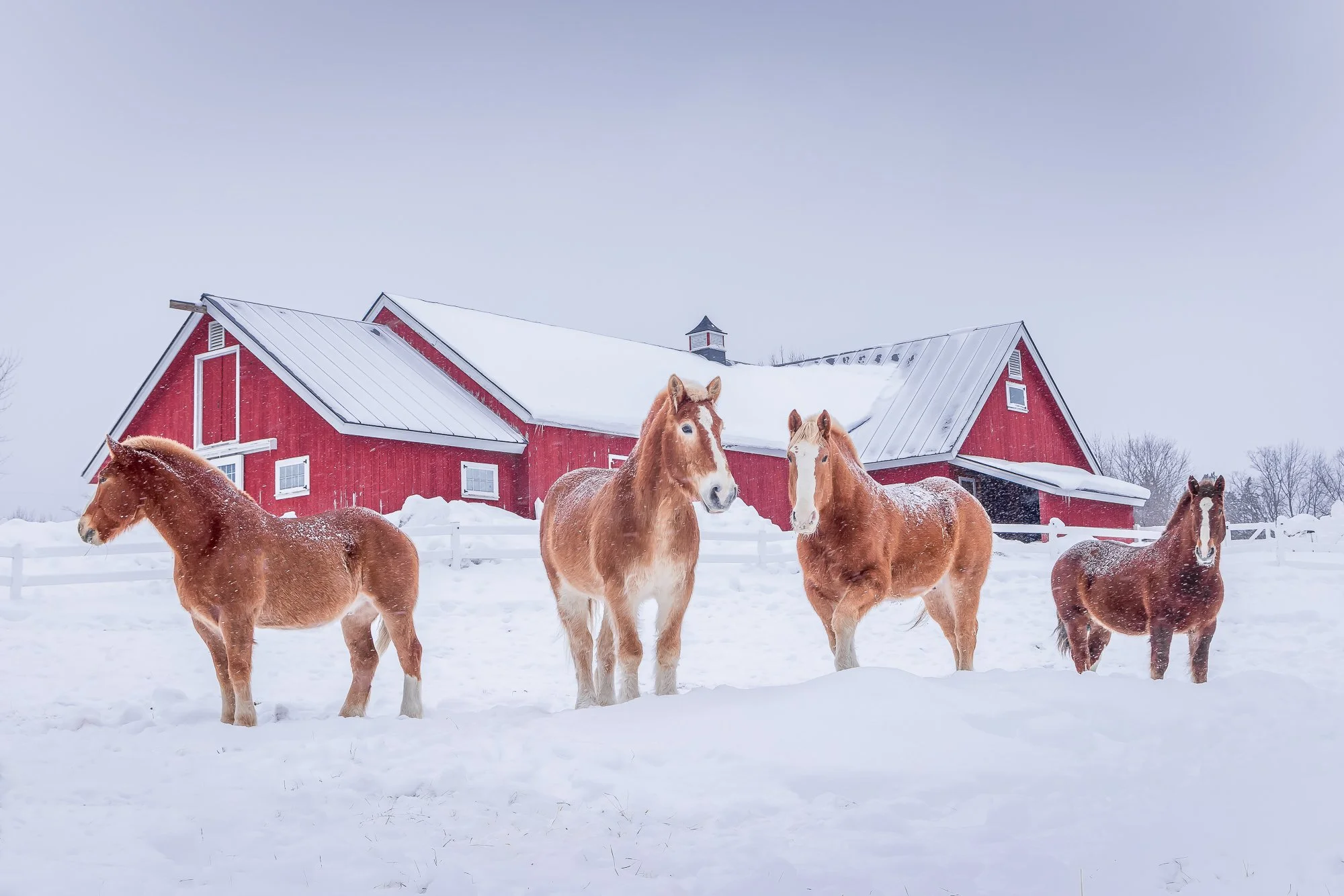 Skyline Road, Pomfret