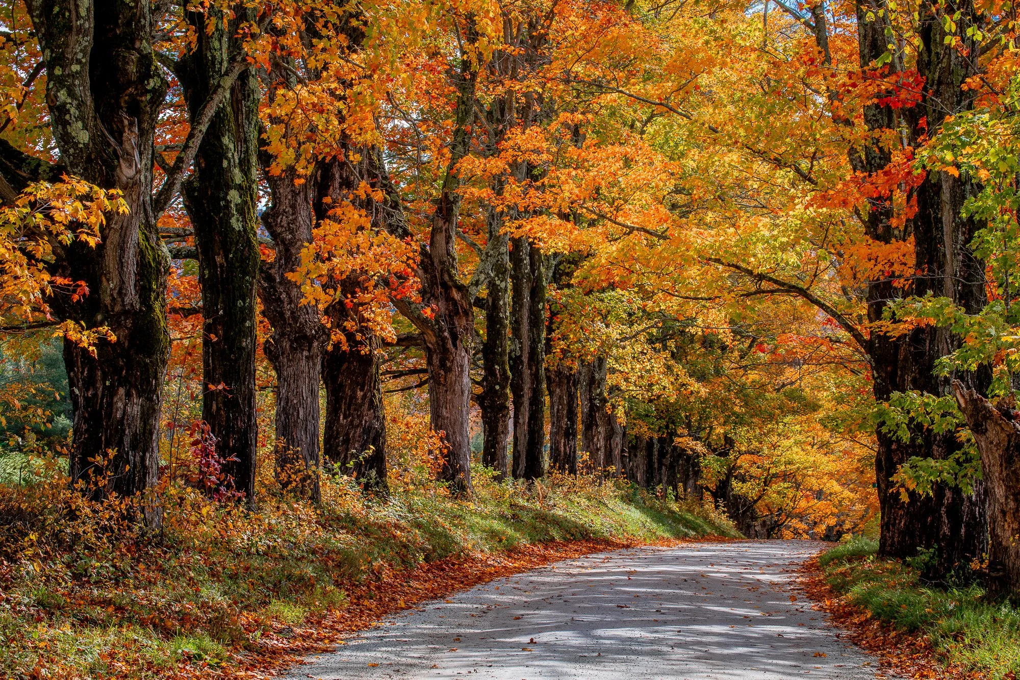 Maple Hill Road, Mount Holly