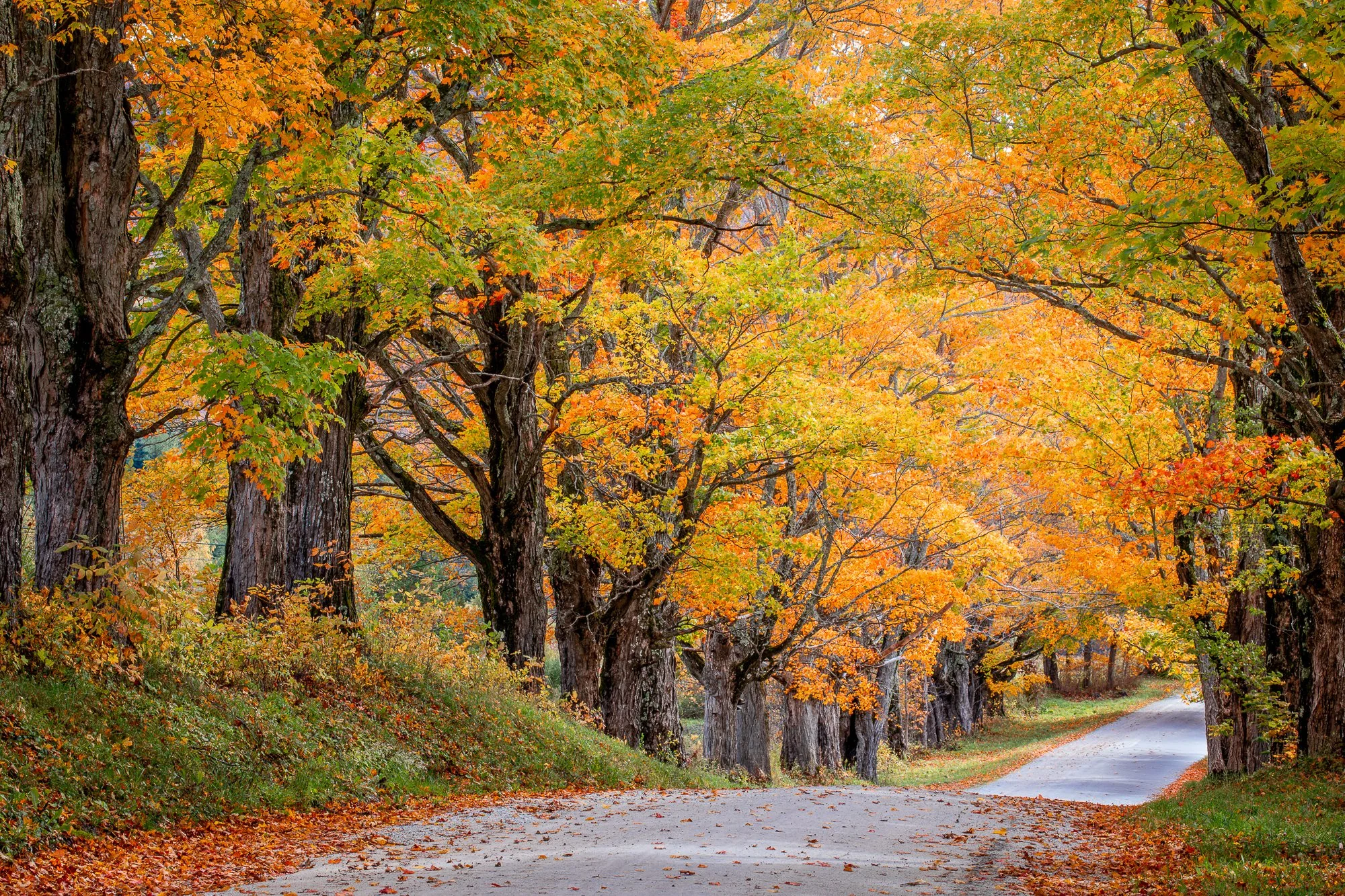 Maple Hill Road, Mount Holly