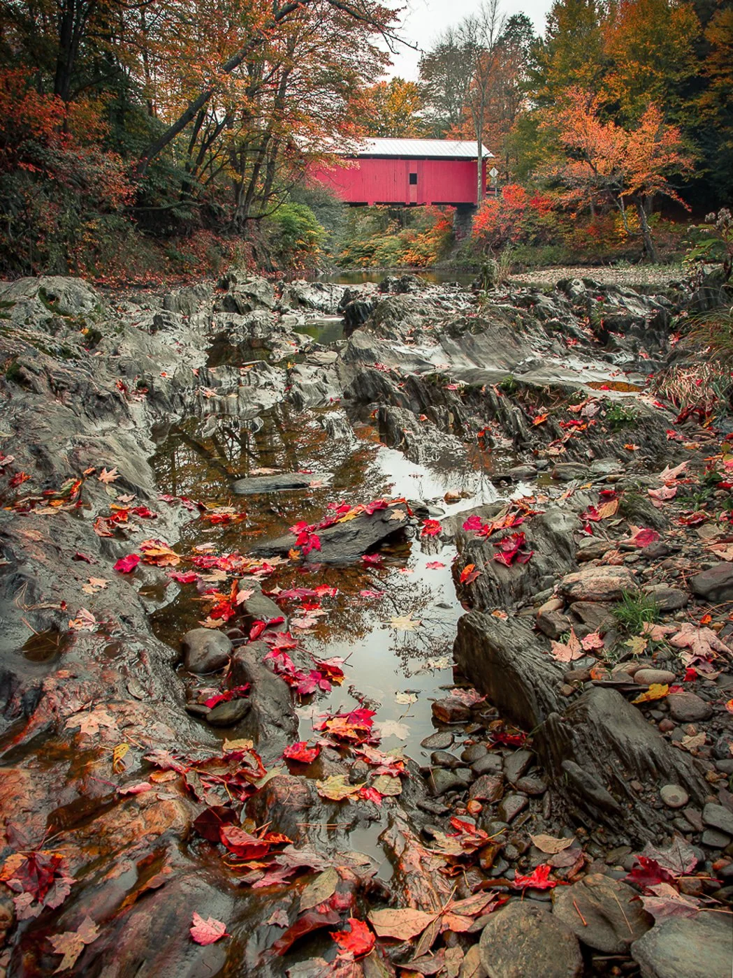 Slaughter House Covered Bridge
