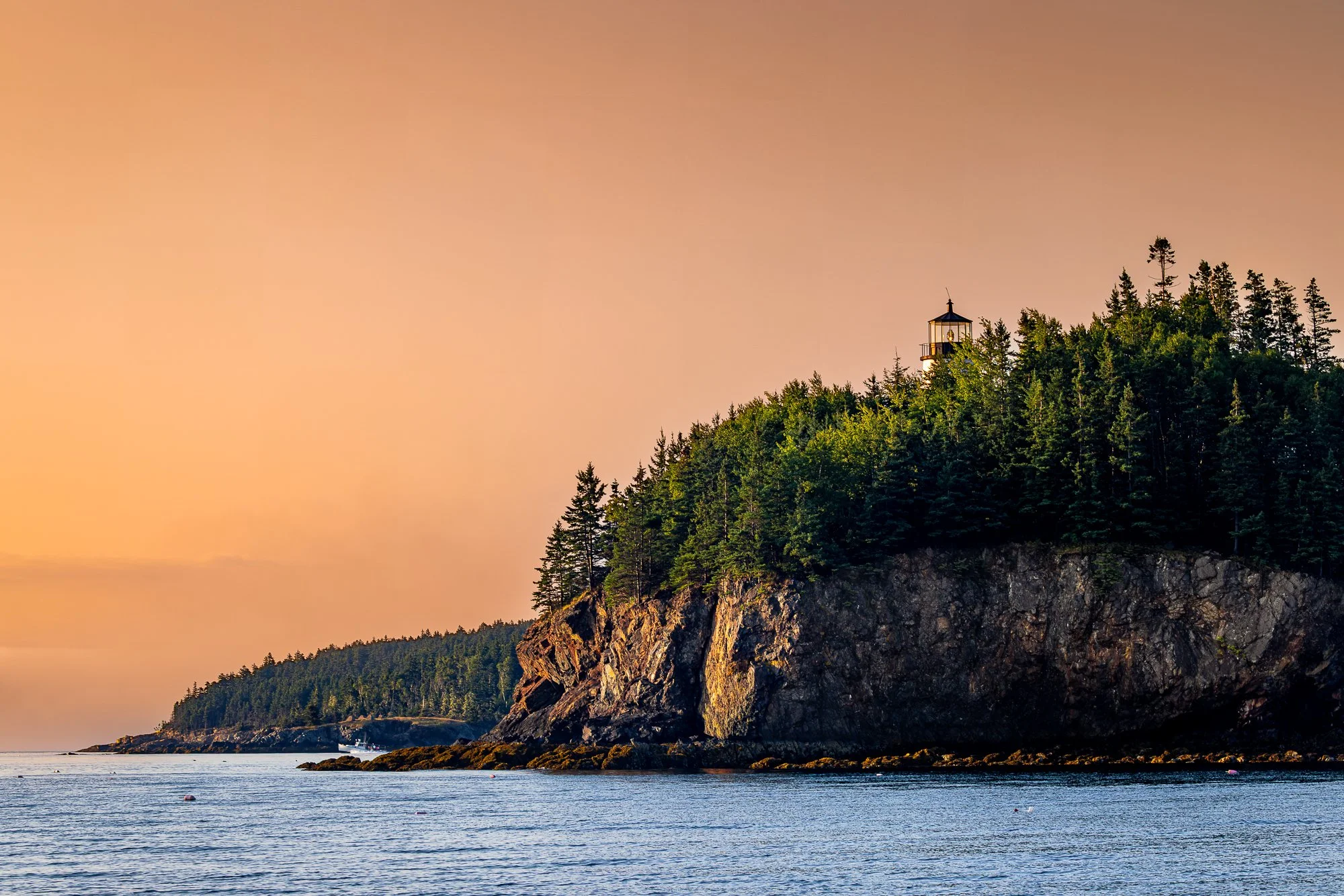 Owls Head 