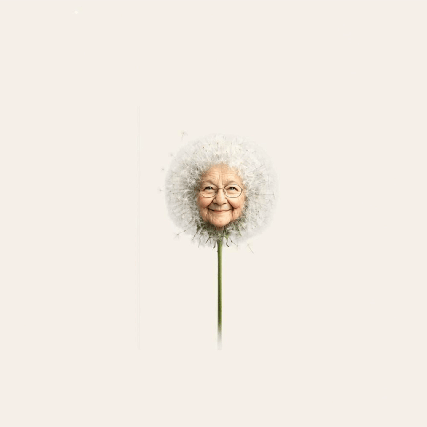 ezgif.com-animated-gif-maker copy.gif