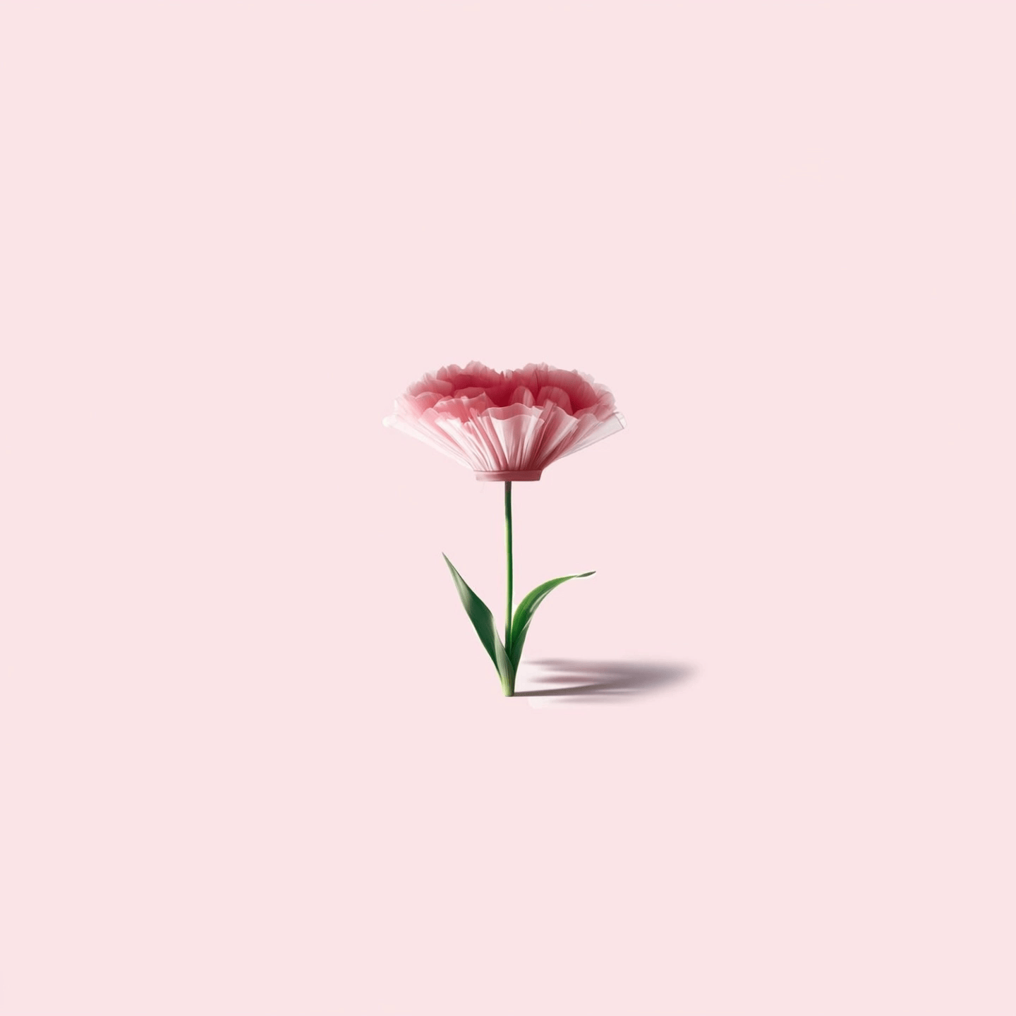 ezgif.com-animated-gif-maker (1).gif