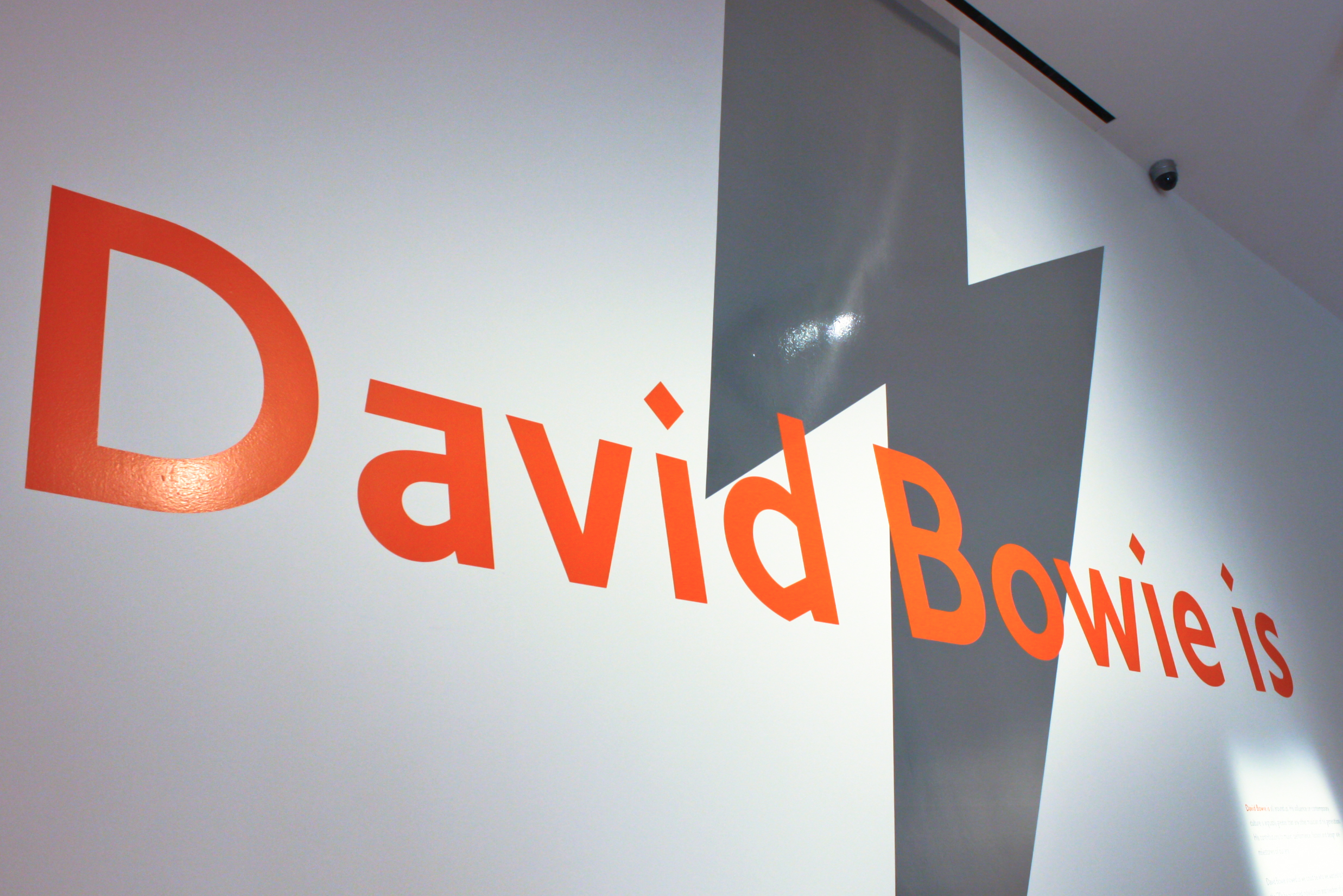 David-Bowie-1-of-14.jpg