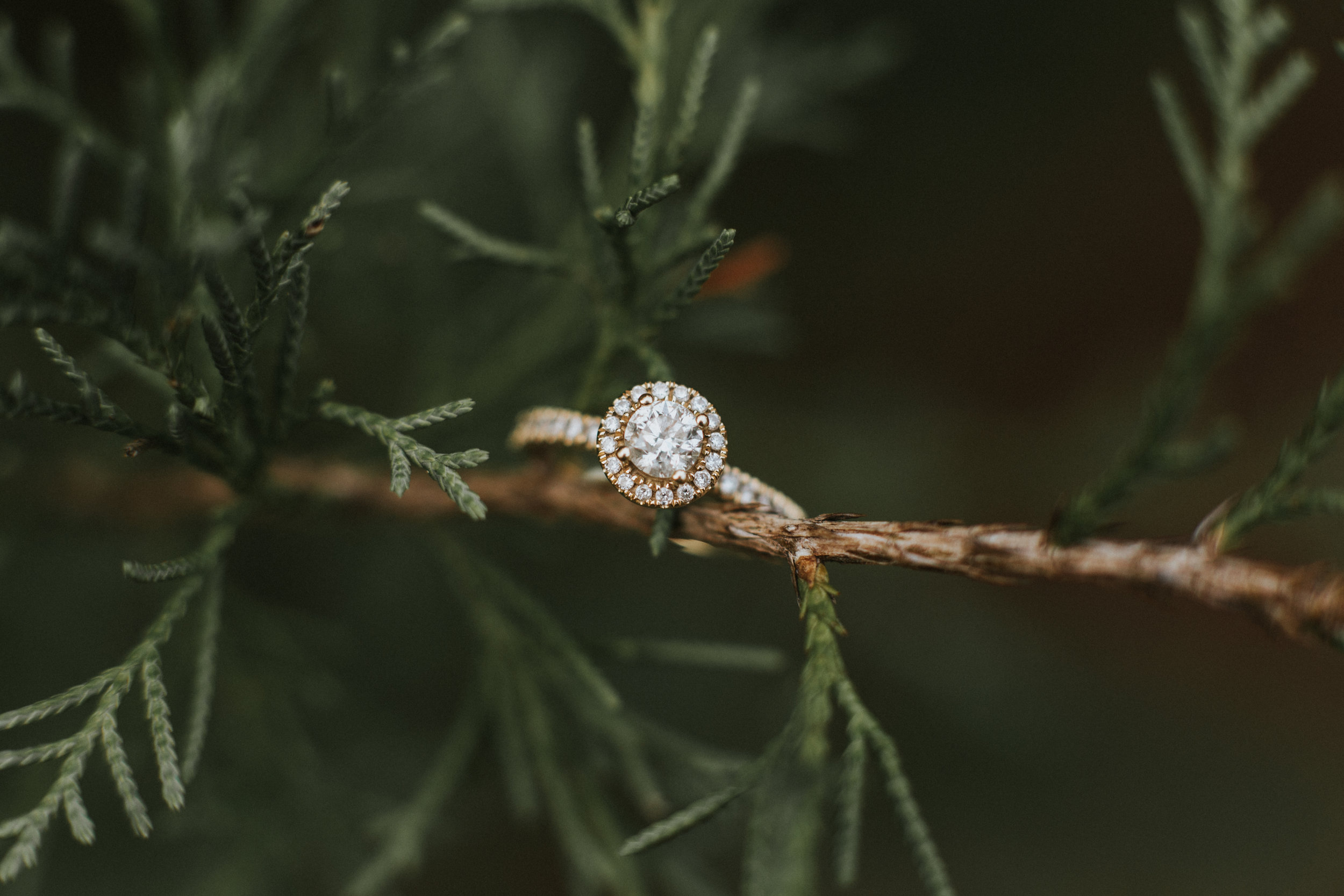 Mattie Bell Photography - Lena & Austin Engagement-94.jpg