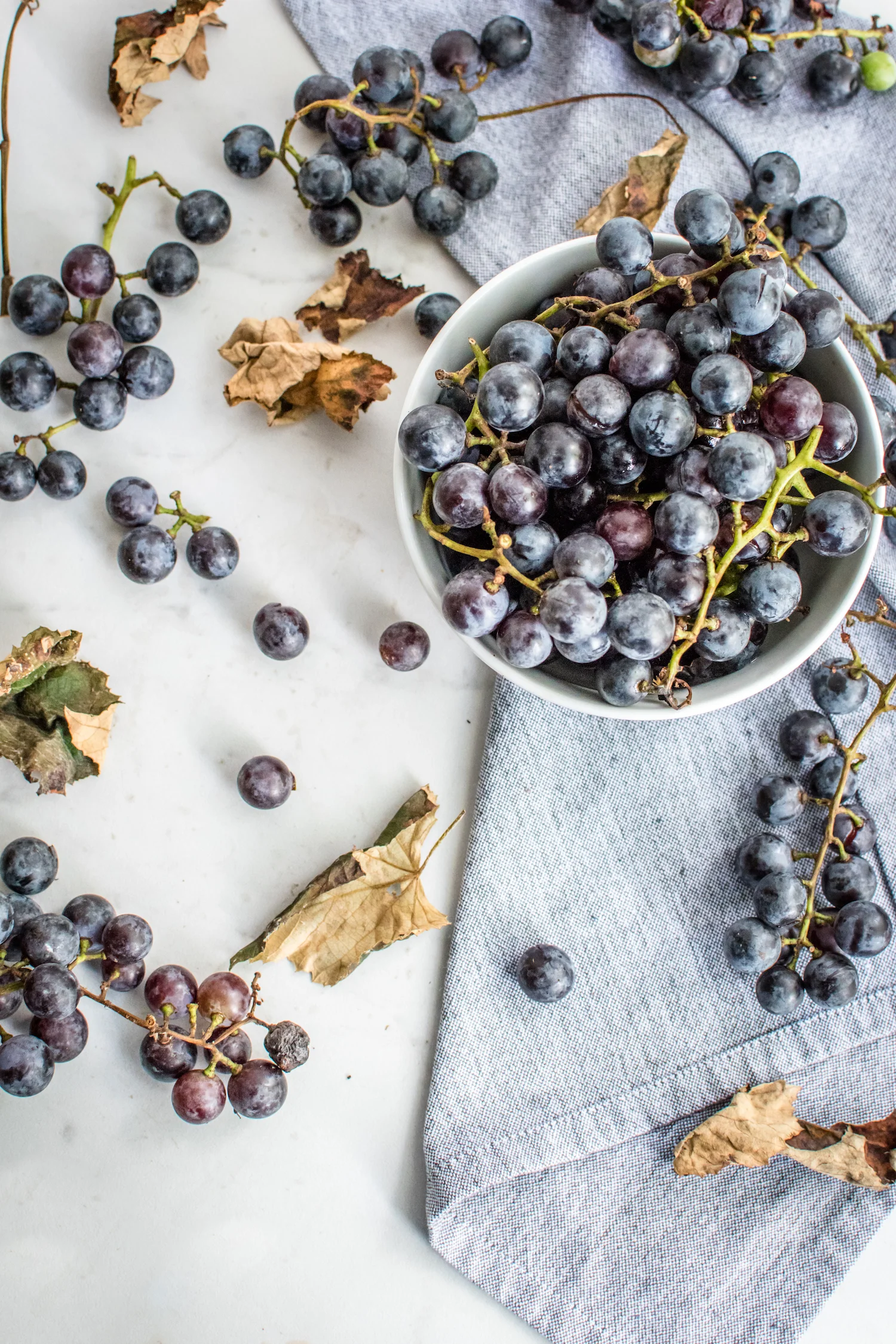 Concord Grapes - A Certain Aesthetic-13.JPG