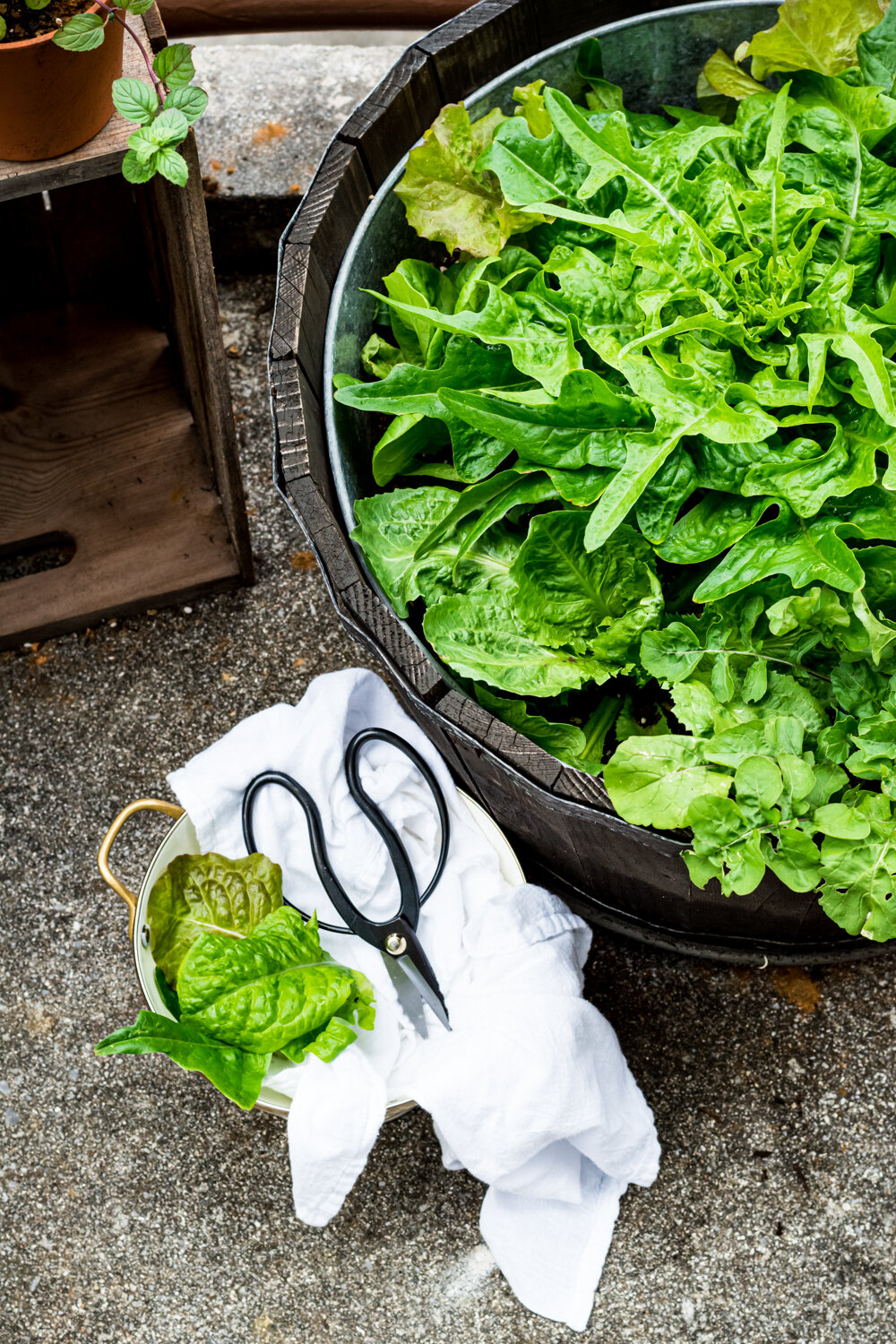 How to Store Lettuce, Kale, and Leafy Greens for Weeks - Live Simply