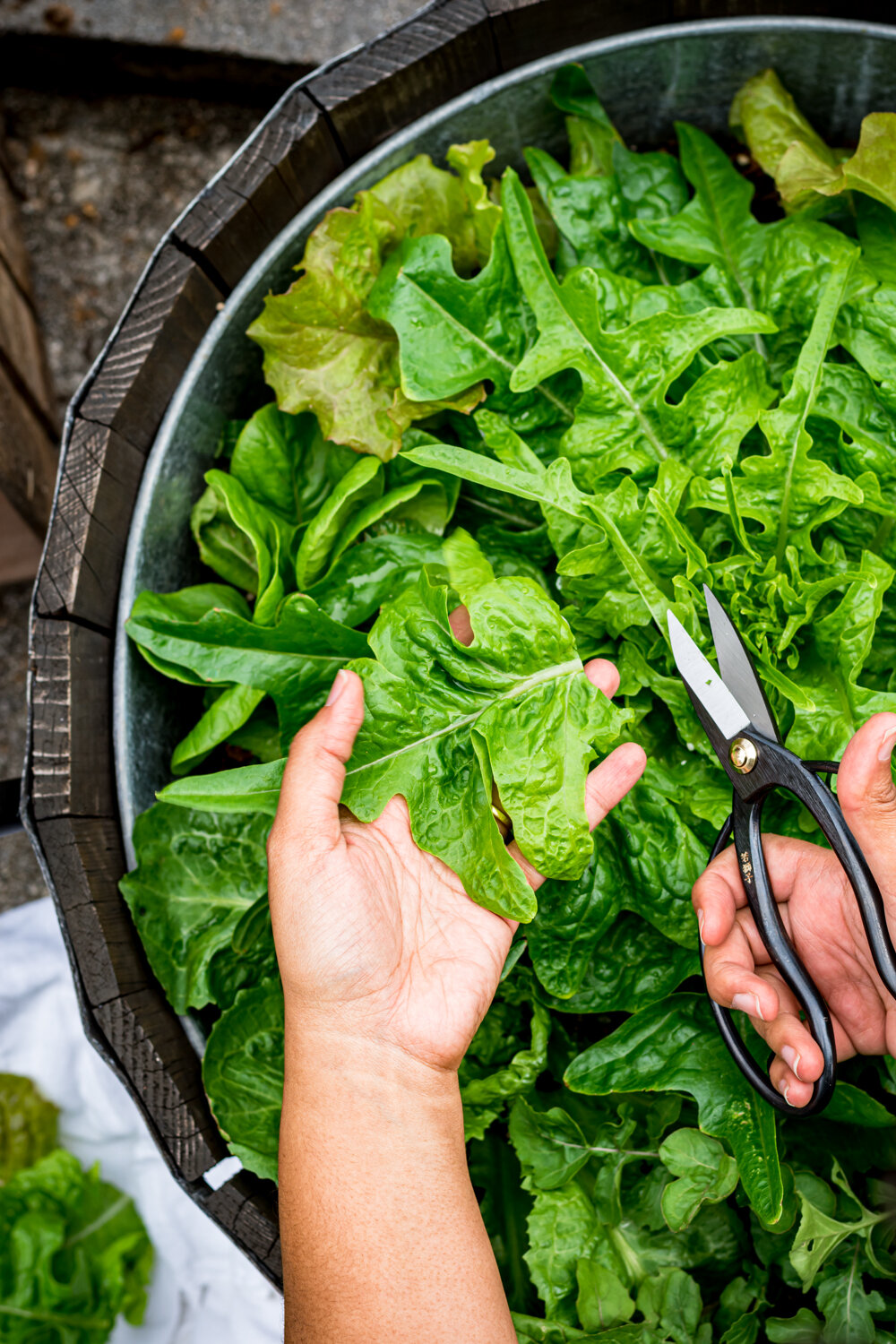 How To Cut Garden Salad Greens-7.jpg