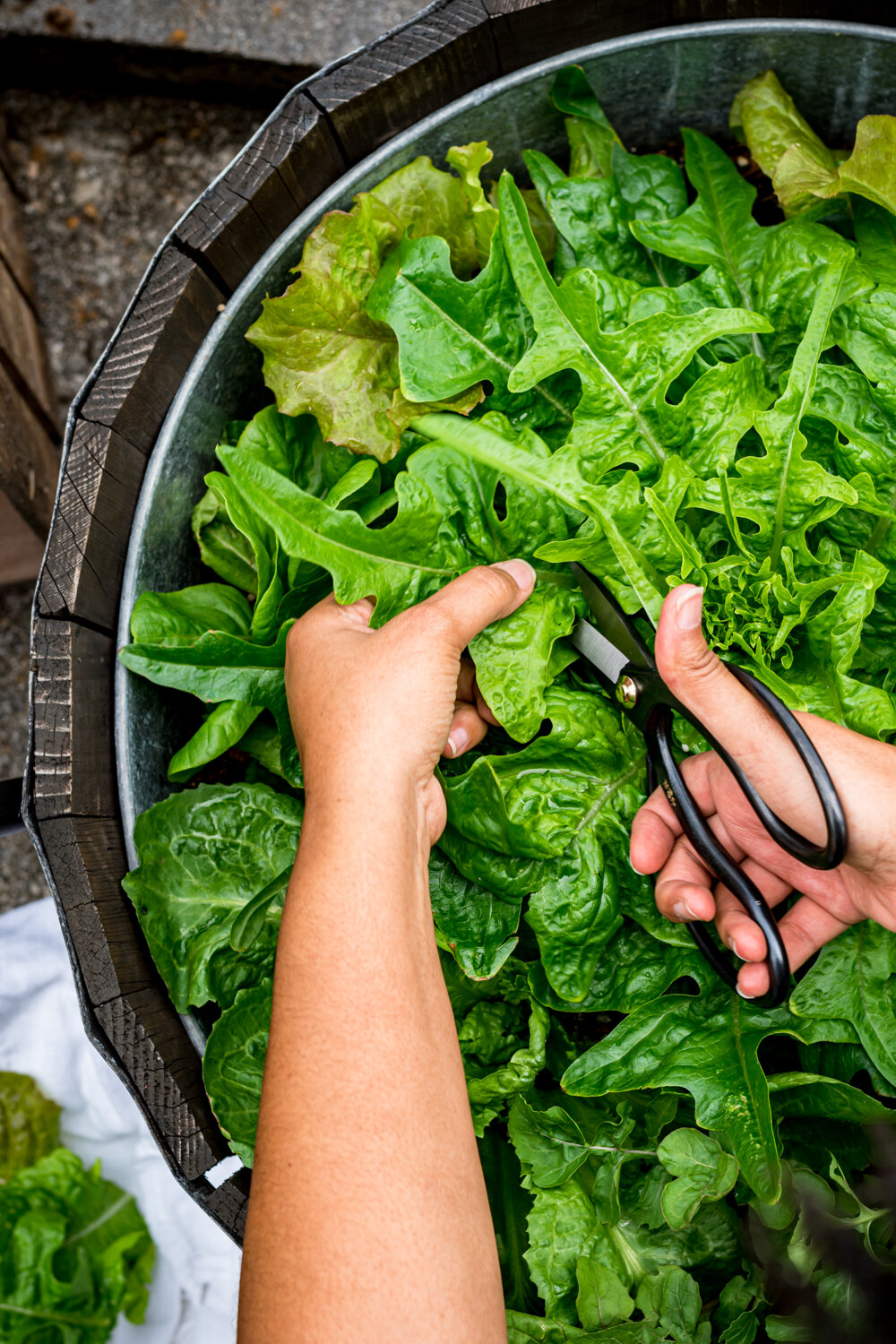 How To Cut Garden Salad Greens-6.jpg