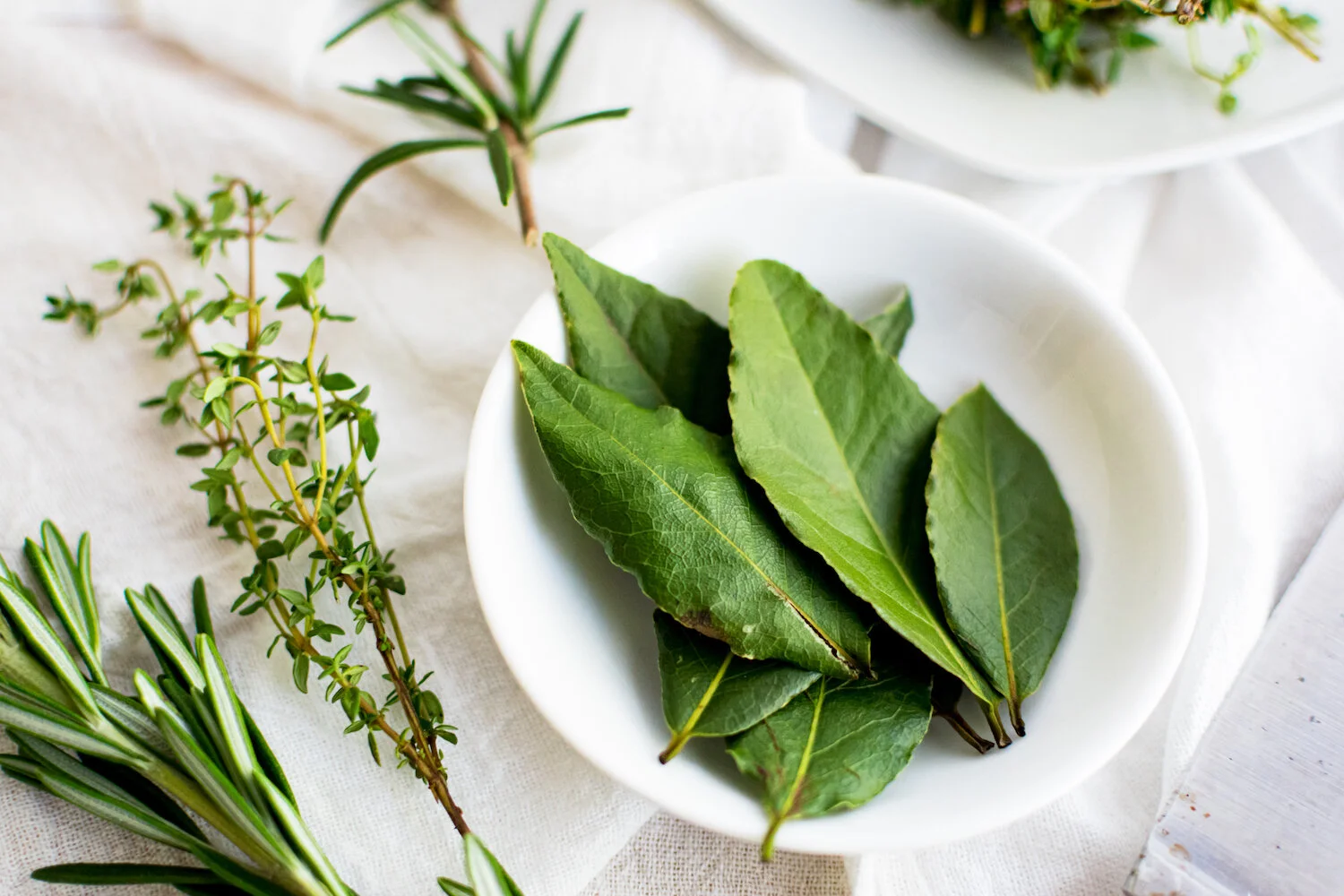 Summer Herbs-3.jpg