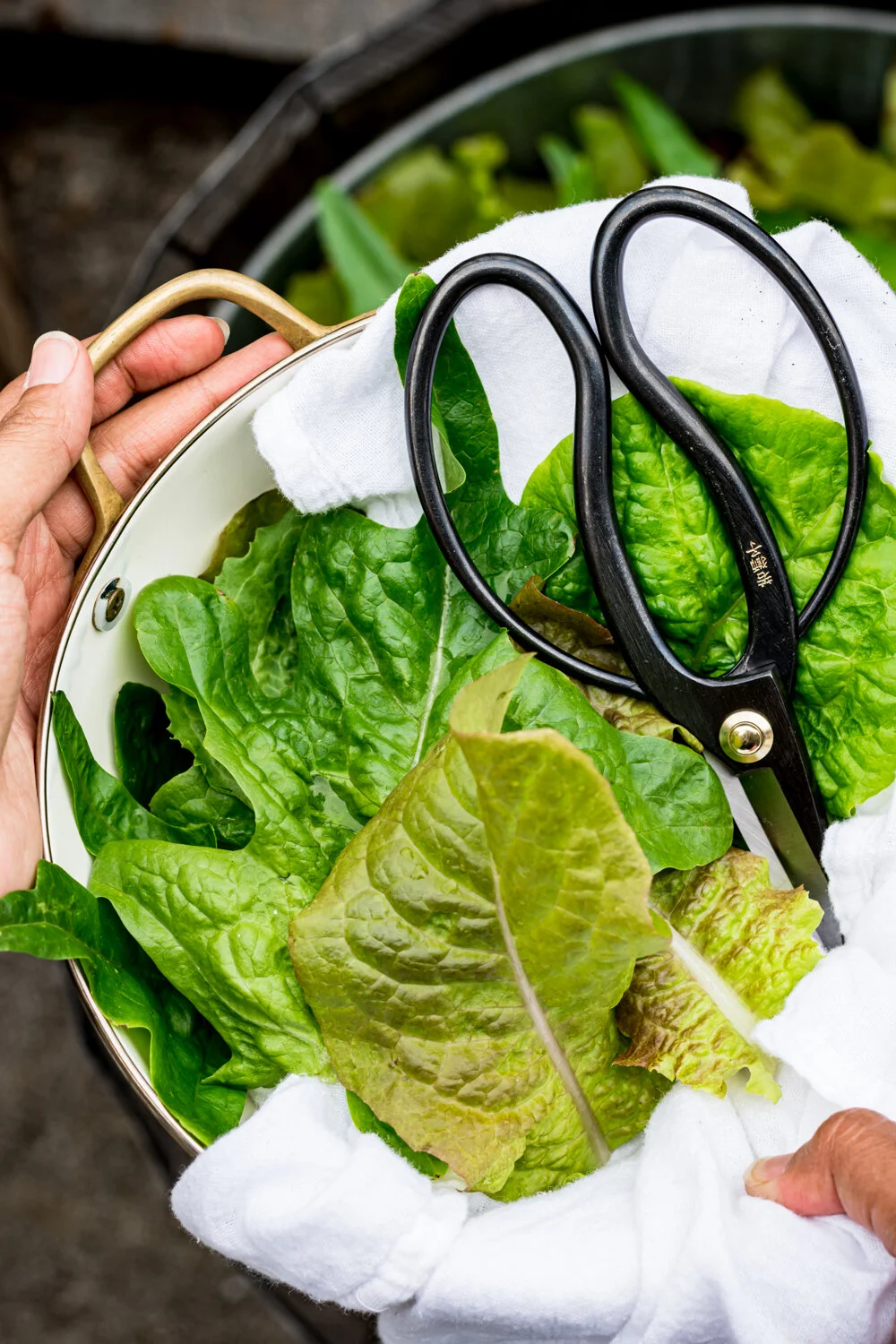 How To Cut Garden Salad Greens-11.jpg