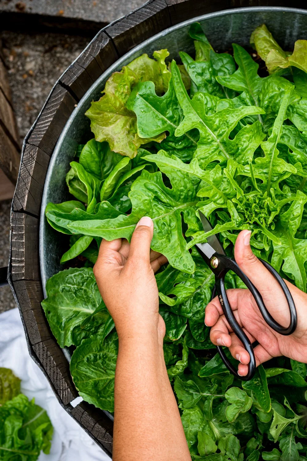 How To Cut Garden Salad Greens-5.jpg