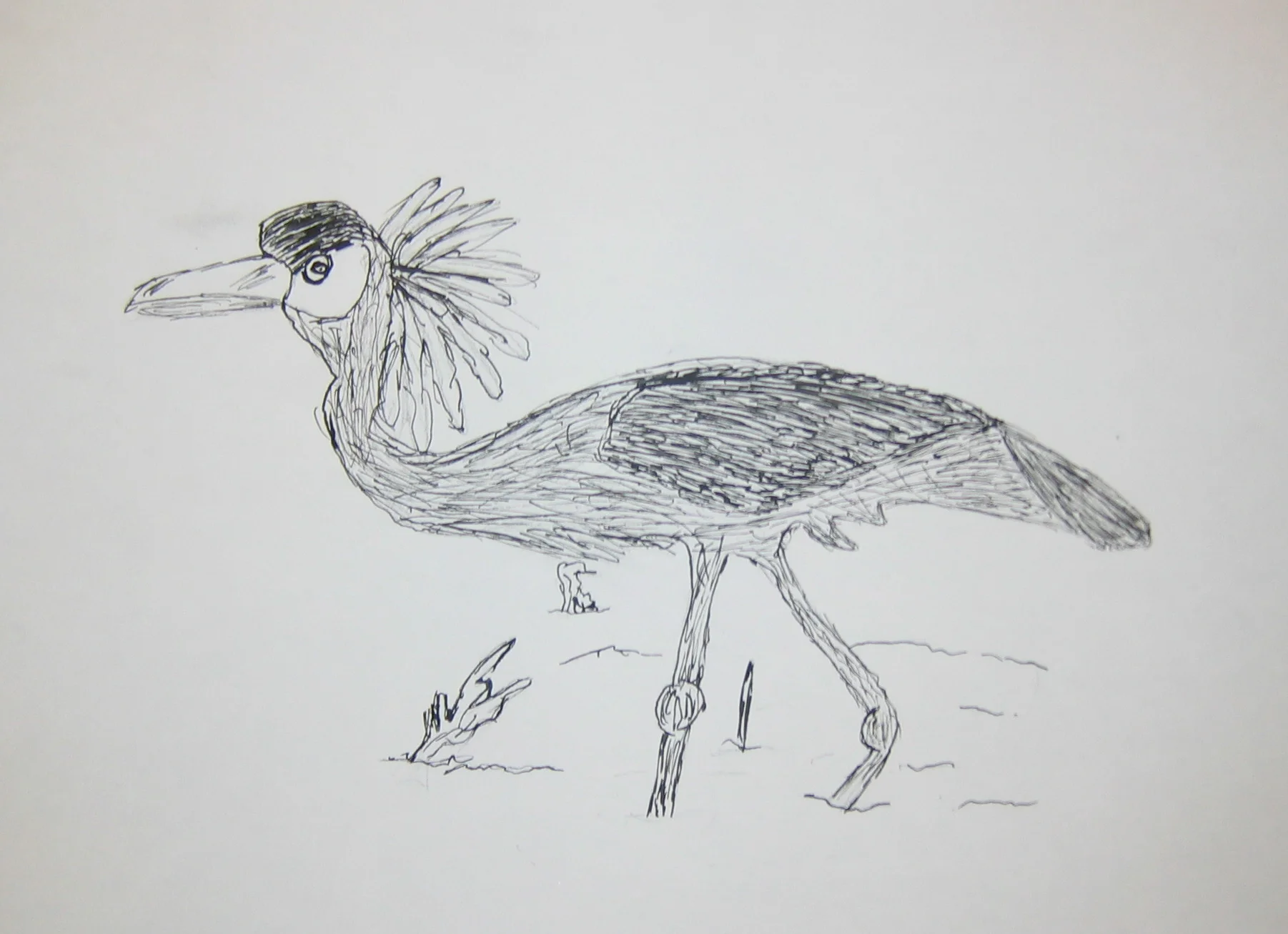 Pen & Ink Study Birds