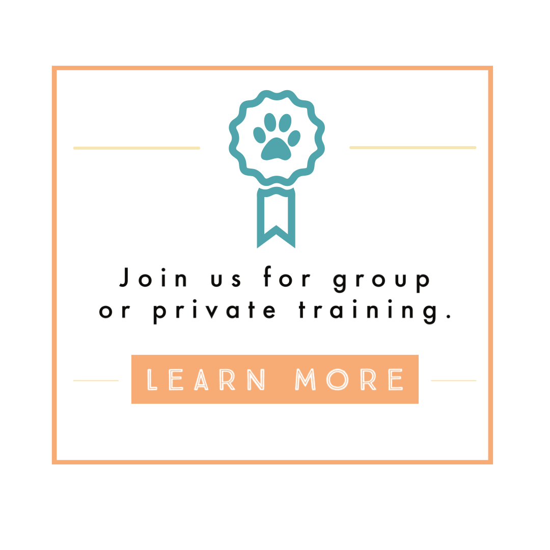 Dog Training_Best Dog Trainer Beaverton Portland Oregon.png