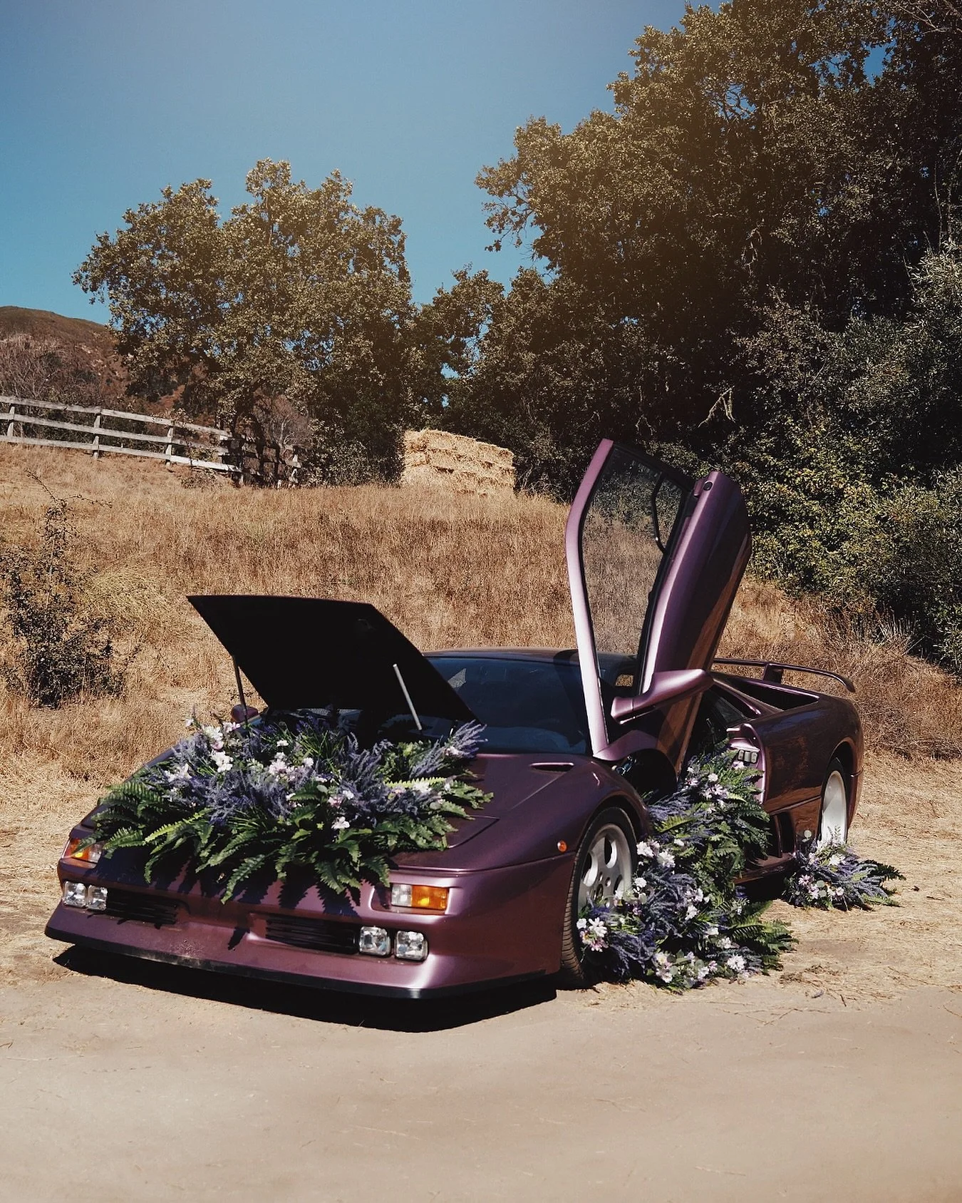 😈 💐 

Owner : @purpse30 
#montereycarweek #overcrestrally #sportscarvacationland