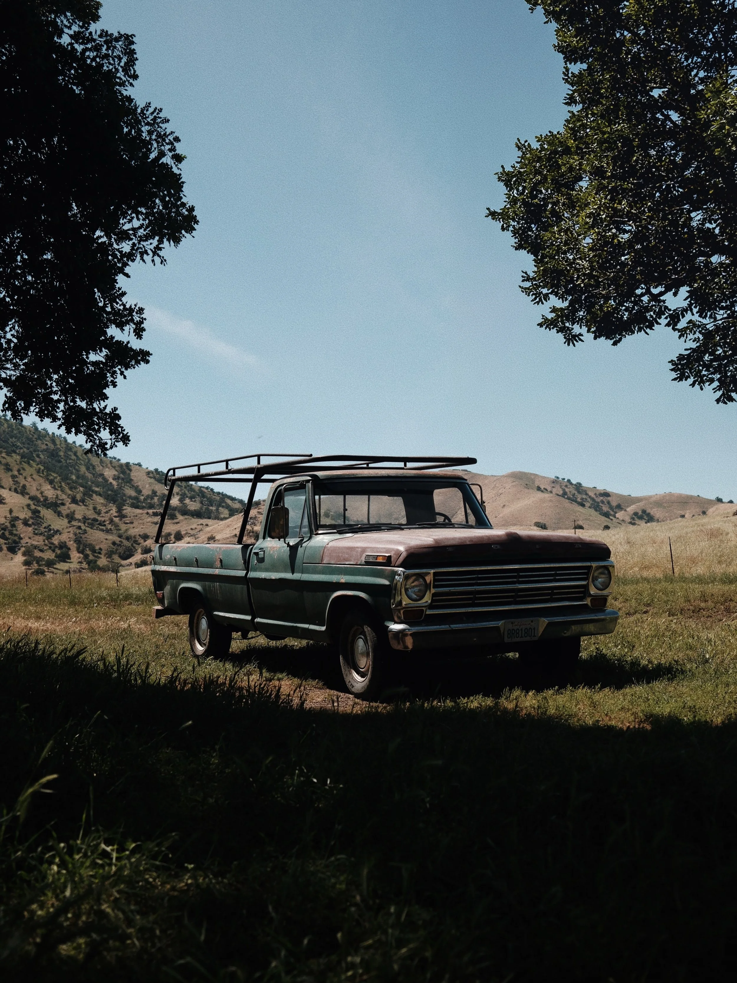 🌾