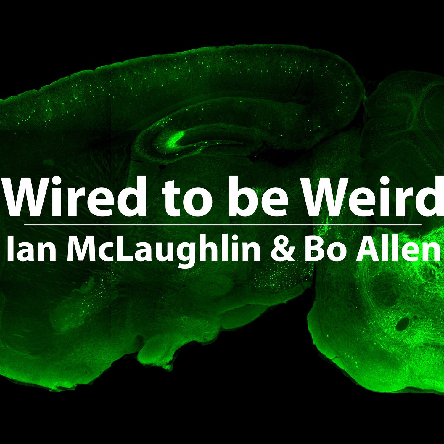 Neuralink - Brain Computer Interfaces (Part 2) episode artwork