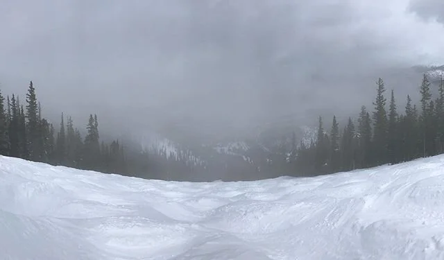 #HeadInTheClouds