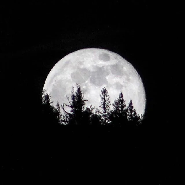 #SuperFlowerMoon