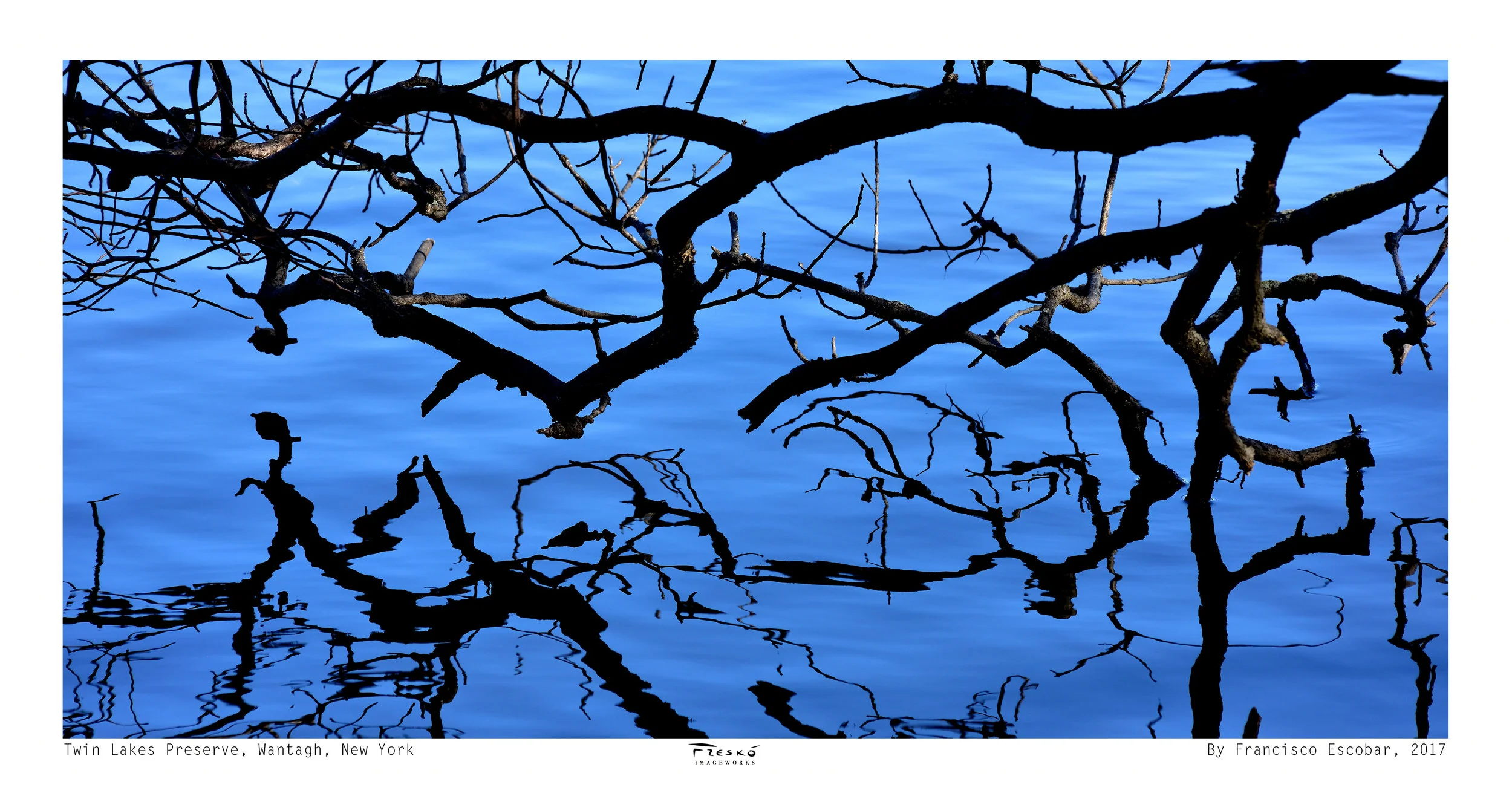 TwinLakesPreserve(resized).jpg