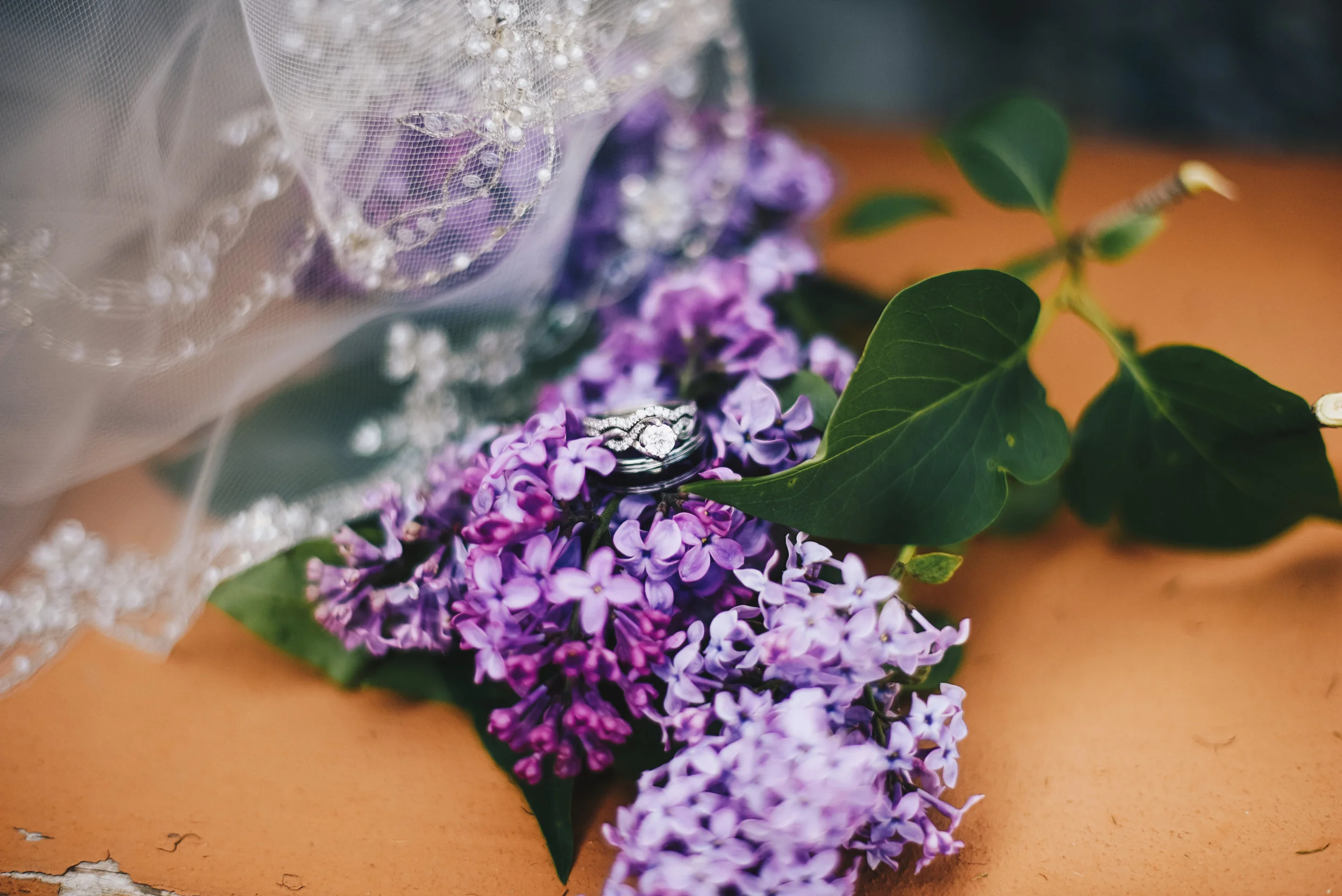 jaceejphotography-3.jpg
