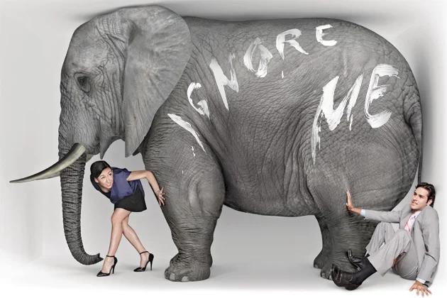 A job: The elephant in the room