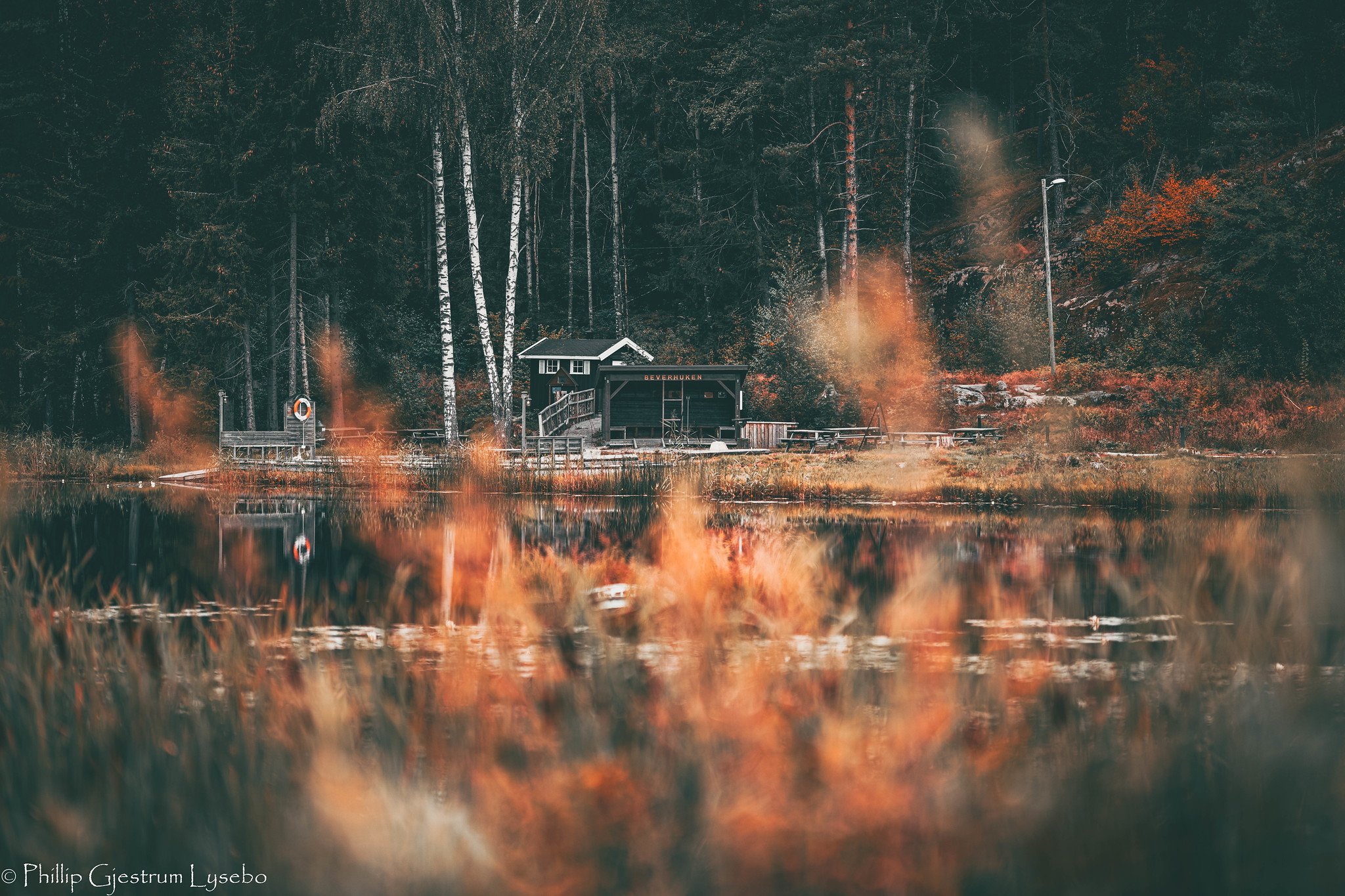 untitled-09203