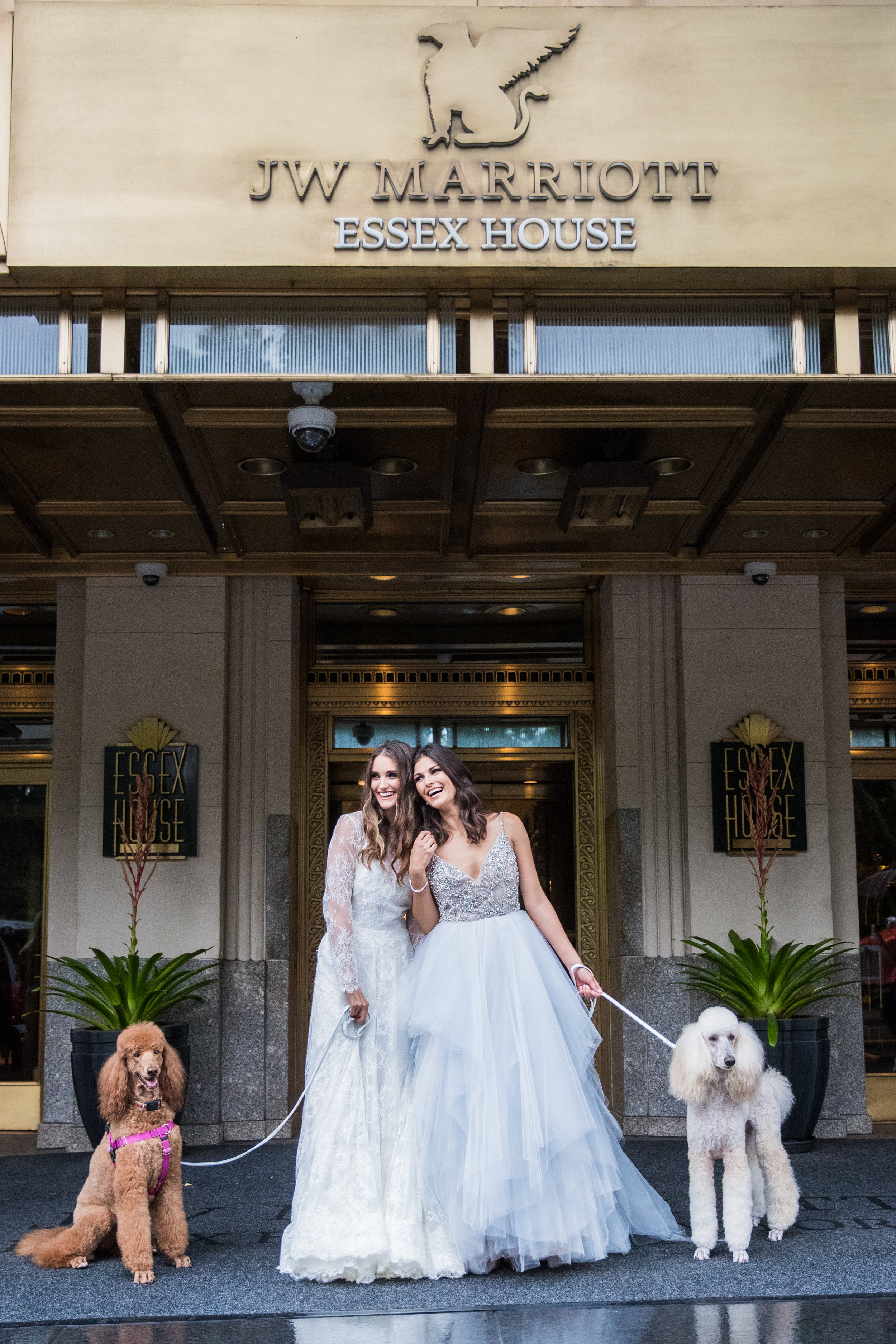brides wedding dresses and dogs photography 0033