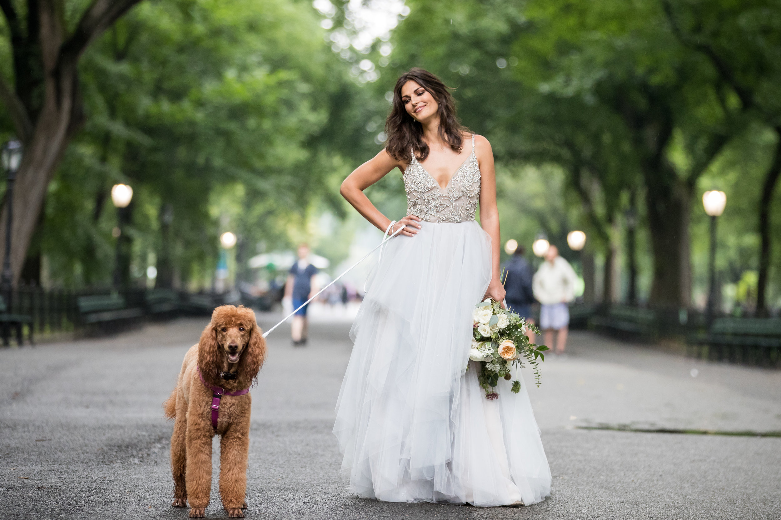 bride and dogs at park photography 0049