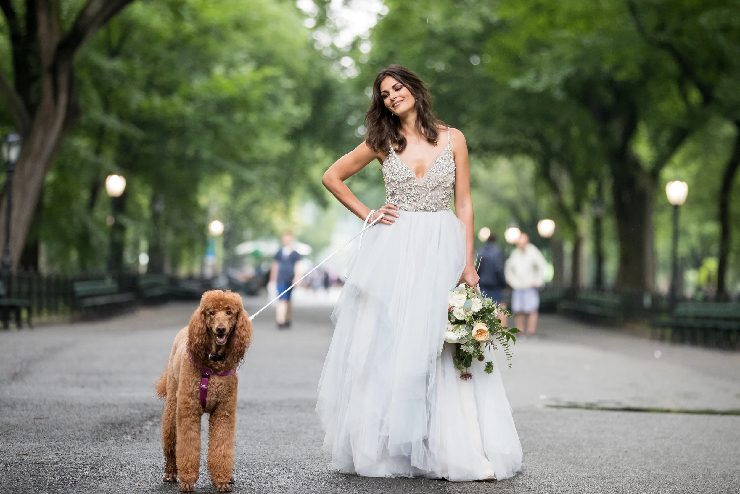 bride and dogs at park photography 0049