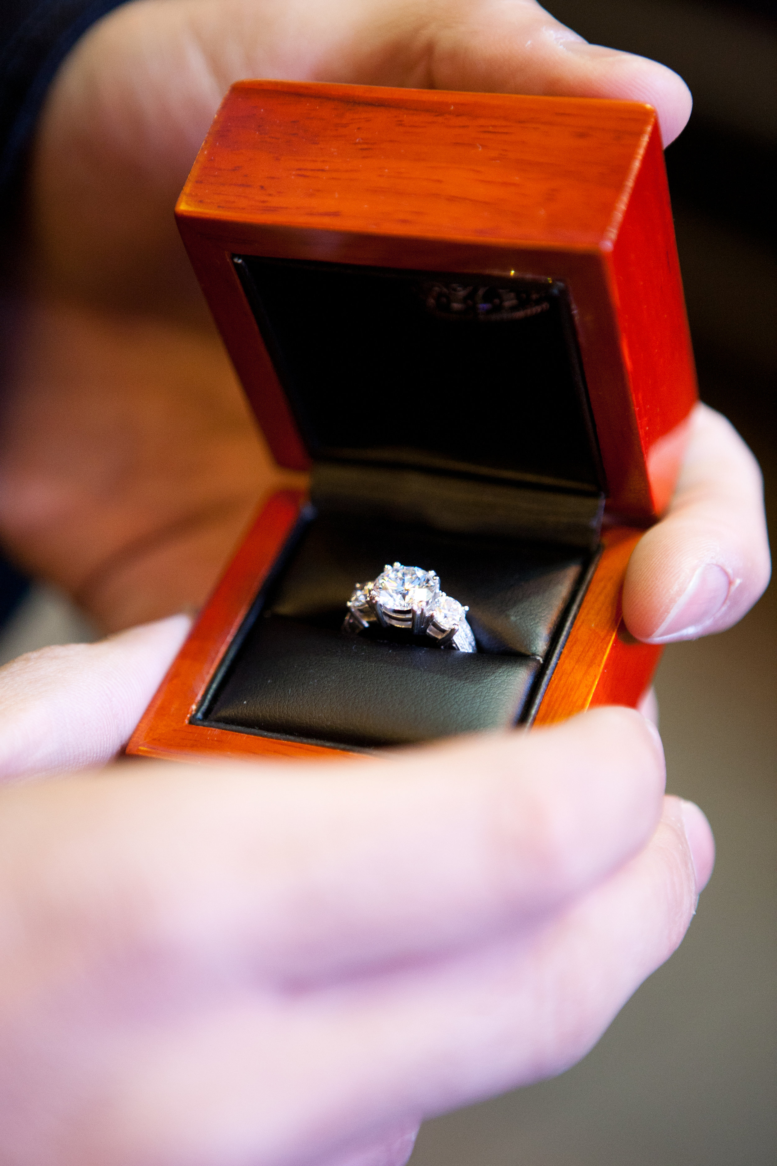 cristina_jahid_proposal_0002.JPG