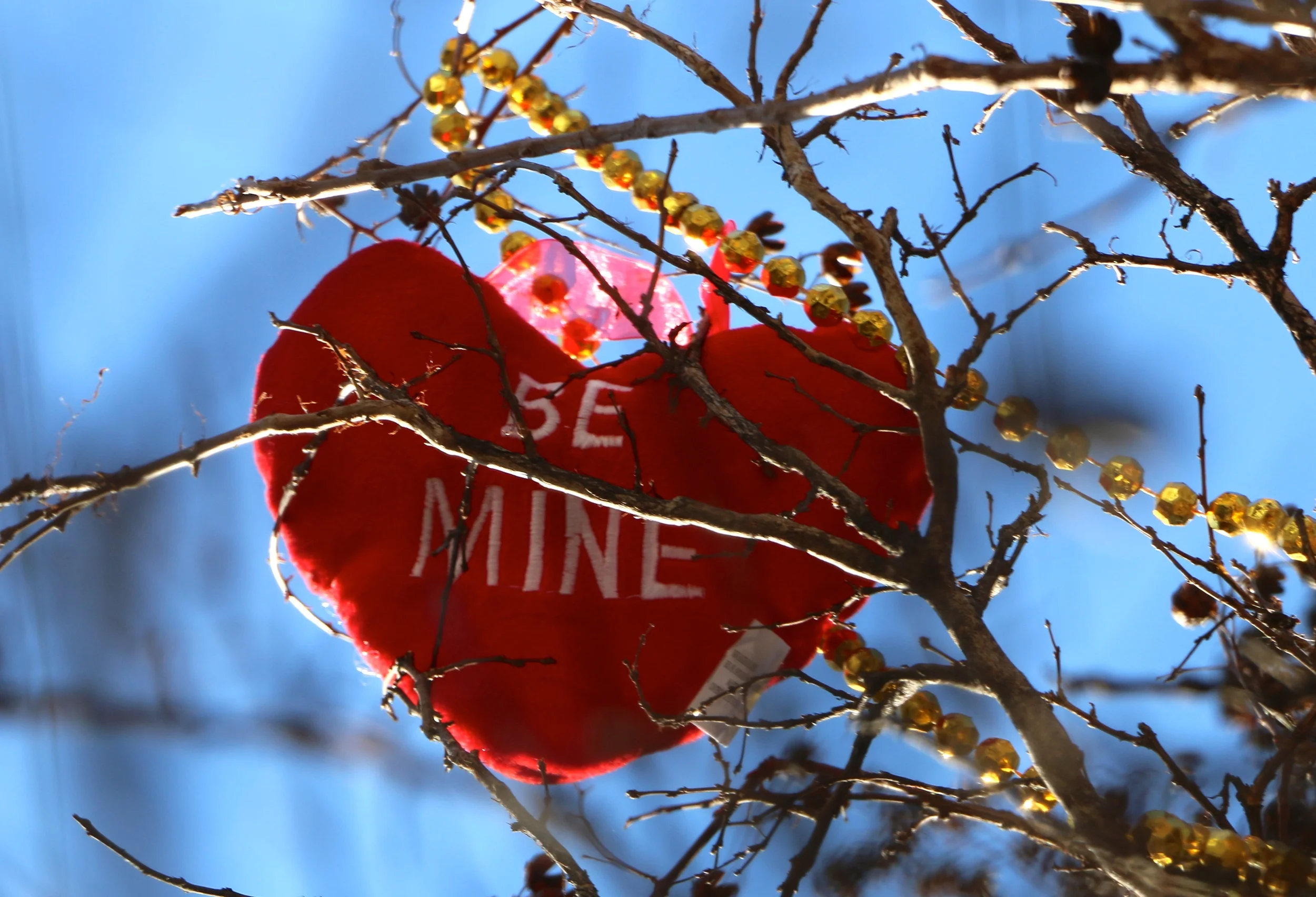 That Crazy Little Thing Called Love