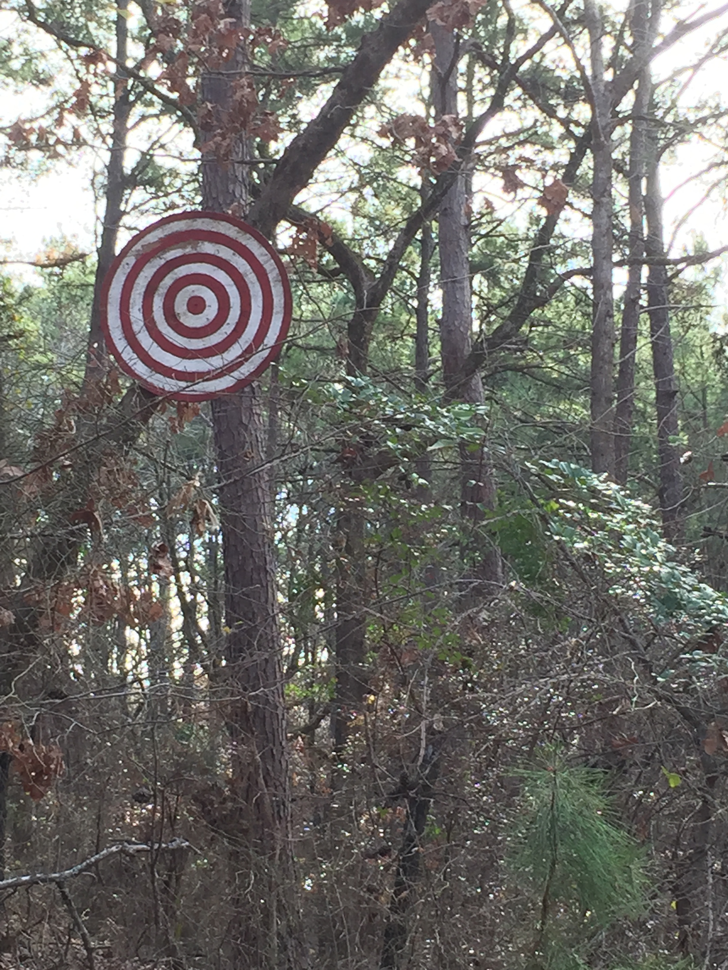 A Target in the Trees