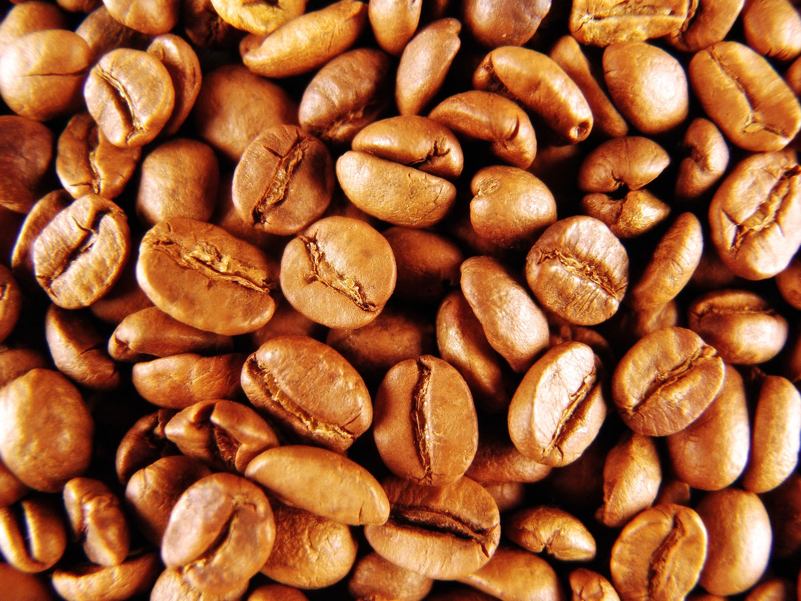 Jumpin' Java Coffee Shop