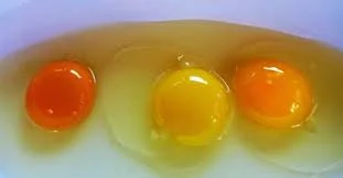 eggs.jpeg