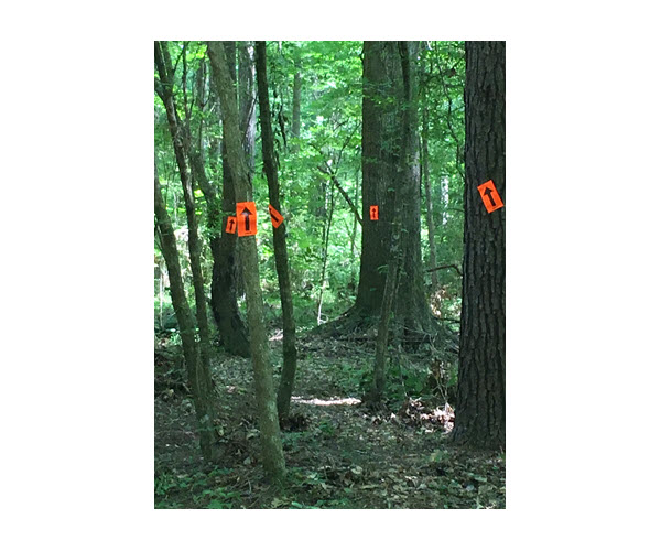 Now that should be enough arrows