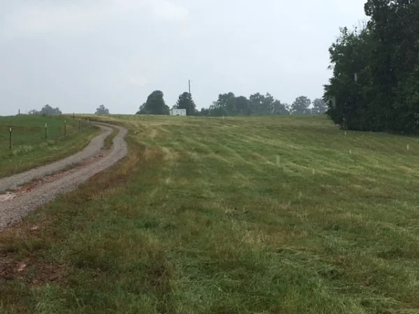 Parking is a new location from years past with more room and a gravel drive. The field goes well past the trailer at the top of the hill. 