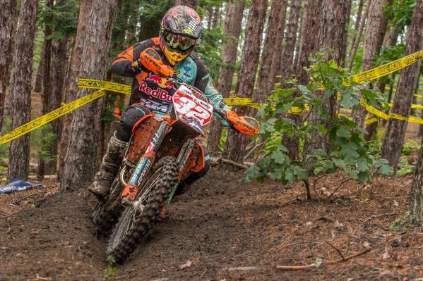 toth-rattlesnake-010-1.jpg