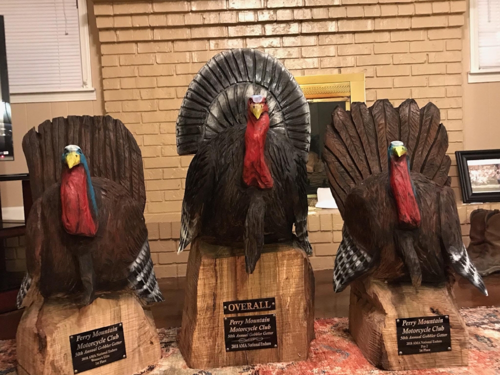 turkeys.jpg