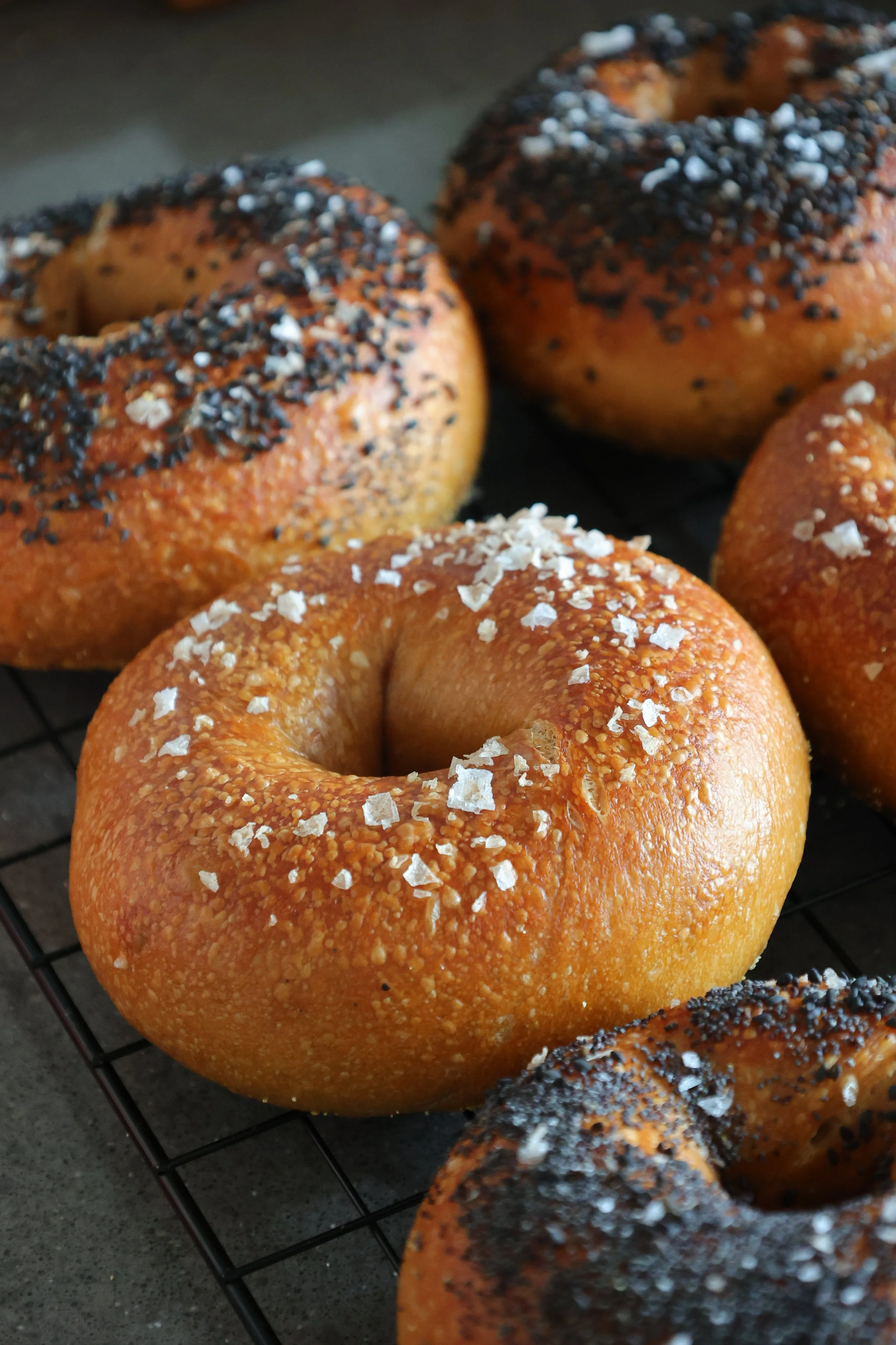 Hands On Breads of the World - Fri 05Feb'27 10am-1pm