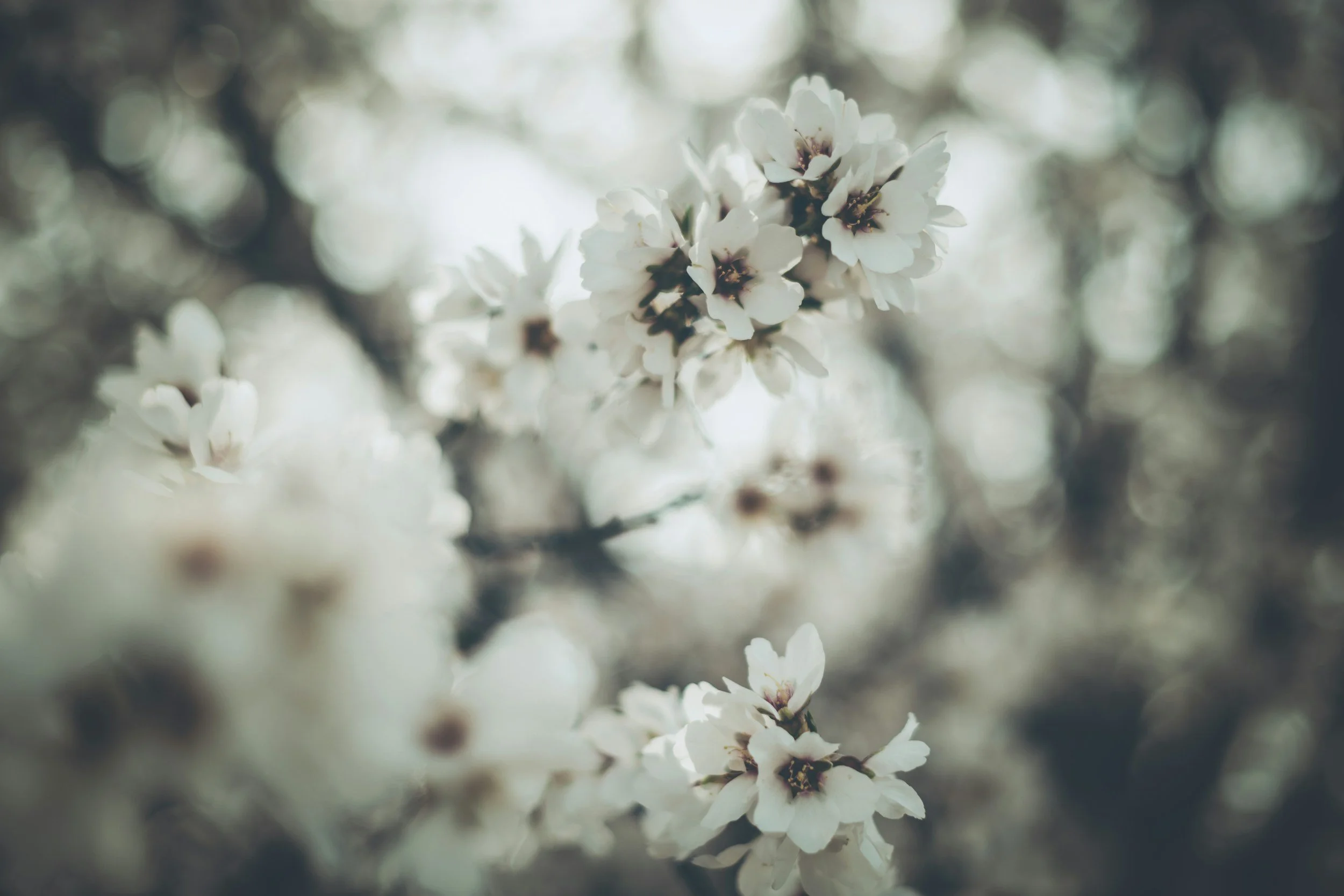 unsplash-image--fLC3FRON9A.jpg