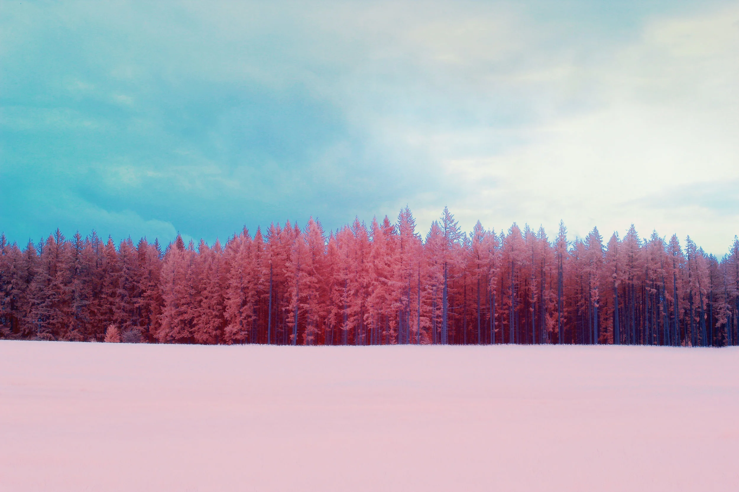 IR_Oregon_Forest_02.jpg