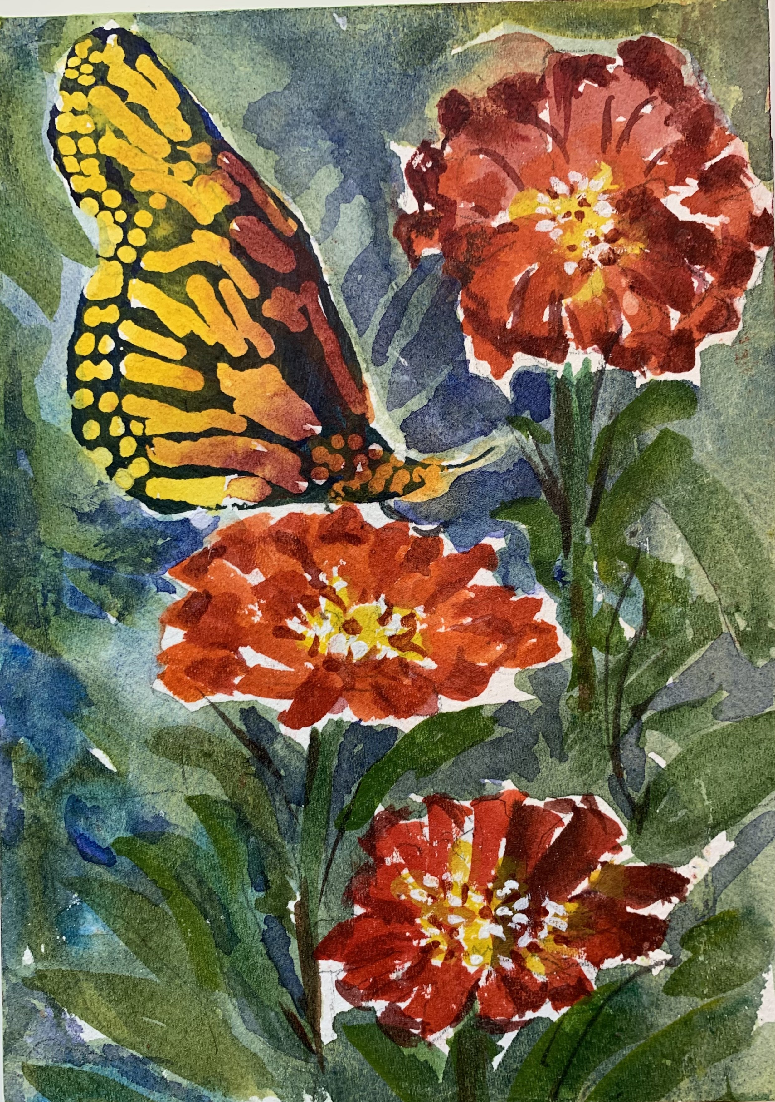 Monarch