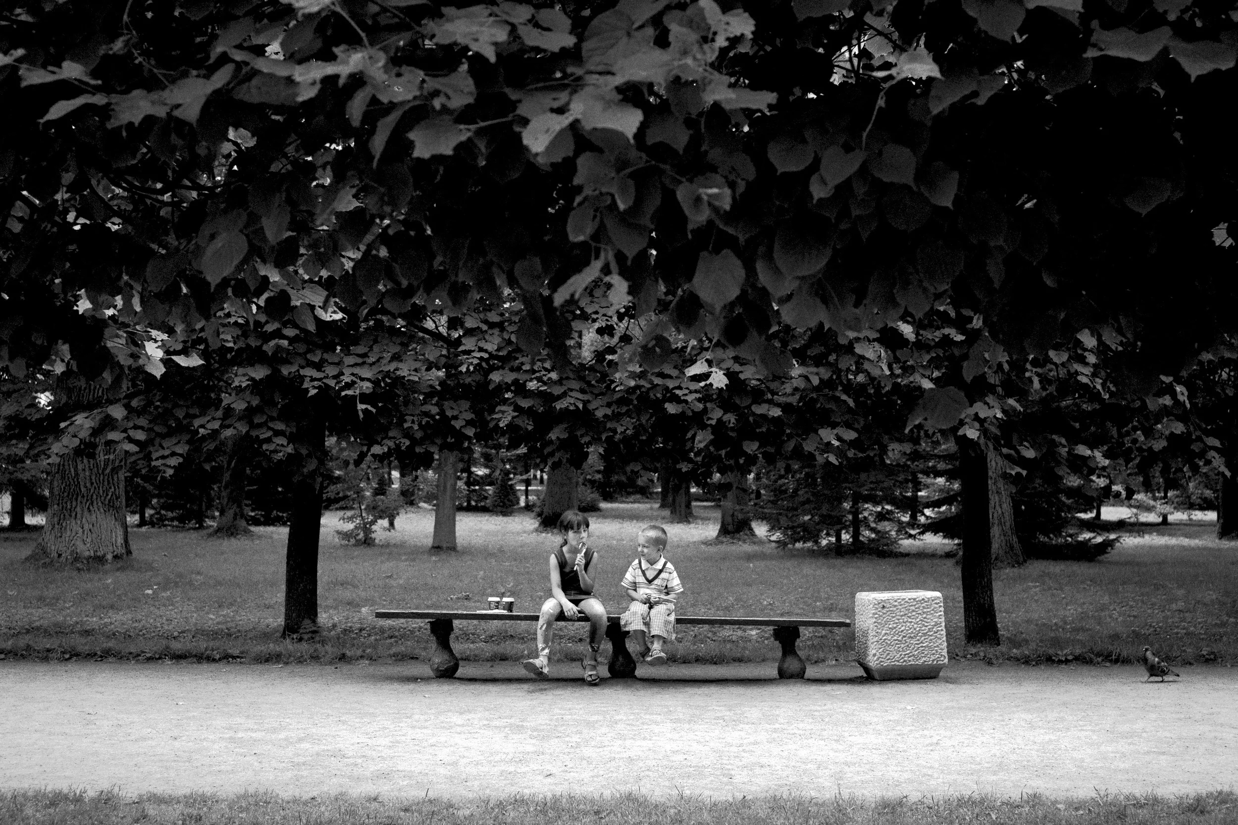 132_L1020988.JPG