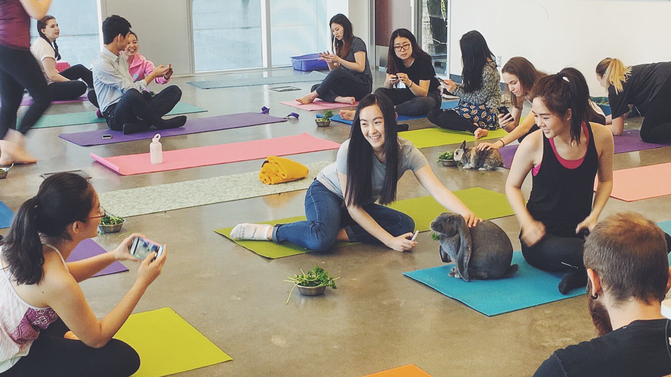 What’s better than having small furry balls of fluff running around while you get your zen on? Distracting, we know. But it sure sounds like heaven.