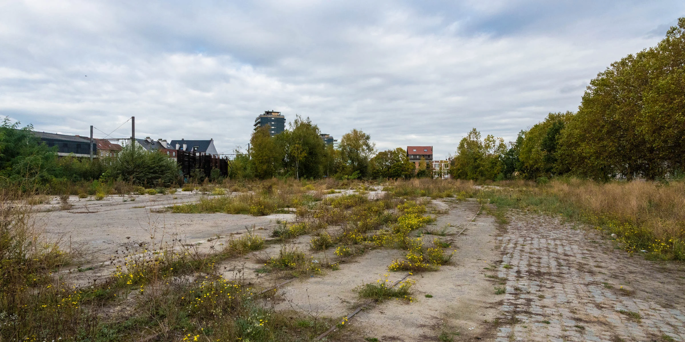 PIC_RESEARCH_20181026_Weststation-participation_001.jpg