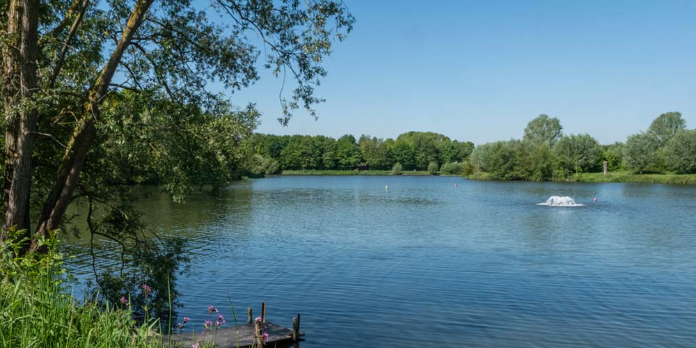 Neerpedevijver / Étang de la Pede 19+20.07.2019
