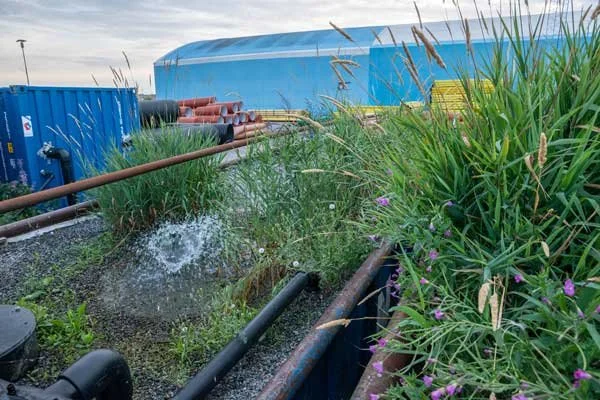THE BIOLOGICAL WATER TREATMENT AT FLOW