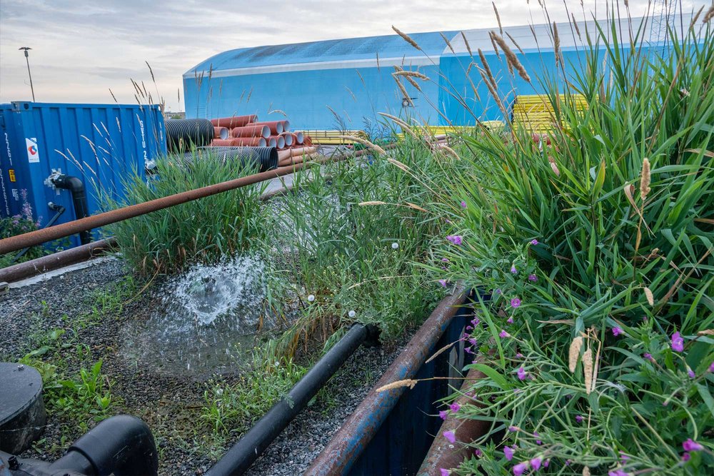  Les filtres à plantes sont placés dans 4 conteneurs, les plantes poussant dans un substrat sur lequel de l'eau est distribuée à l'aide de buses. 